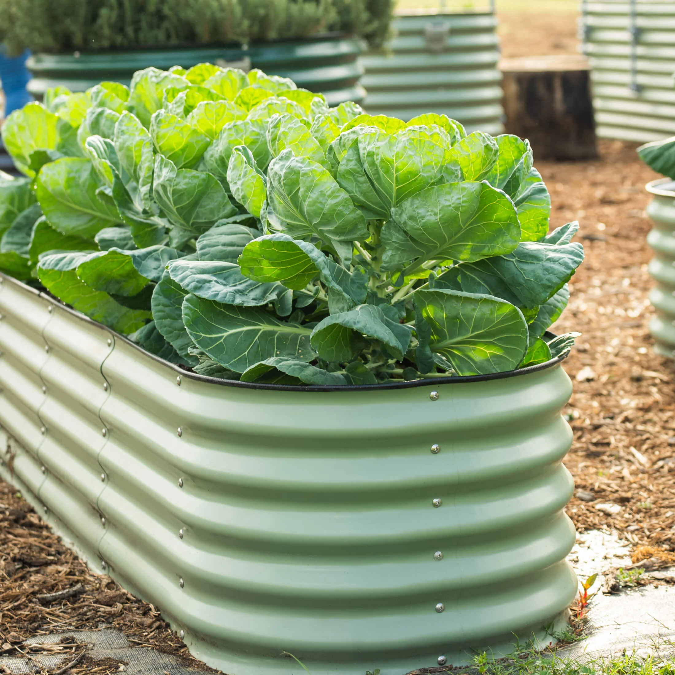 17" Tall X In 1 Giant Modular Metal Raised Garden Bed Kit - Image 13