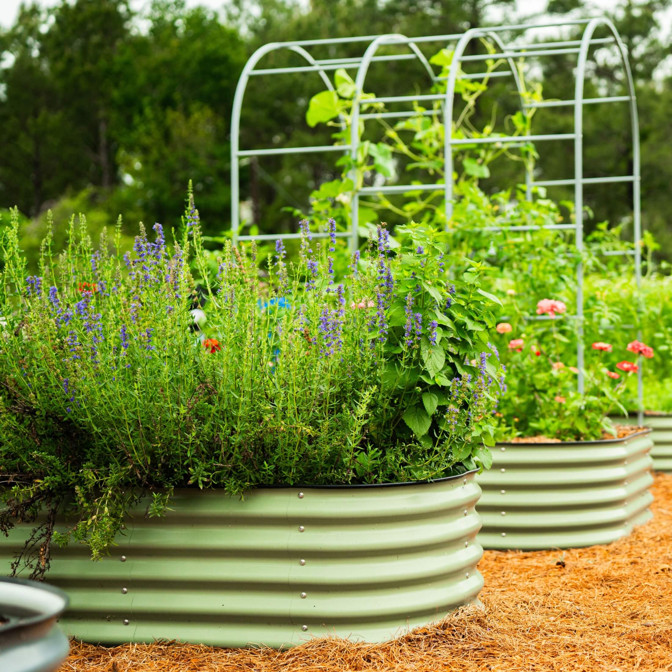 17" Tall X In 1 Giant Modular Metal Raised Garden Bed Kit - Image 15