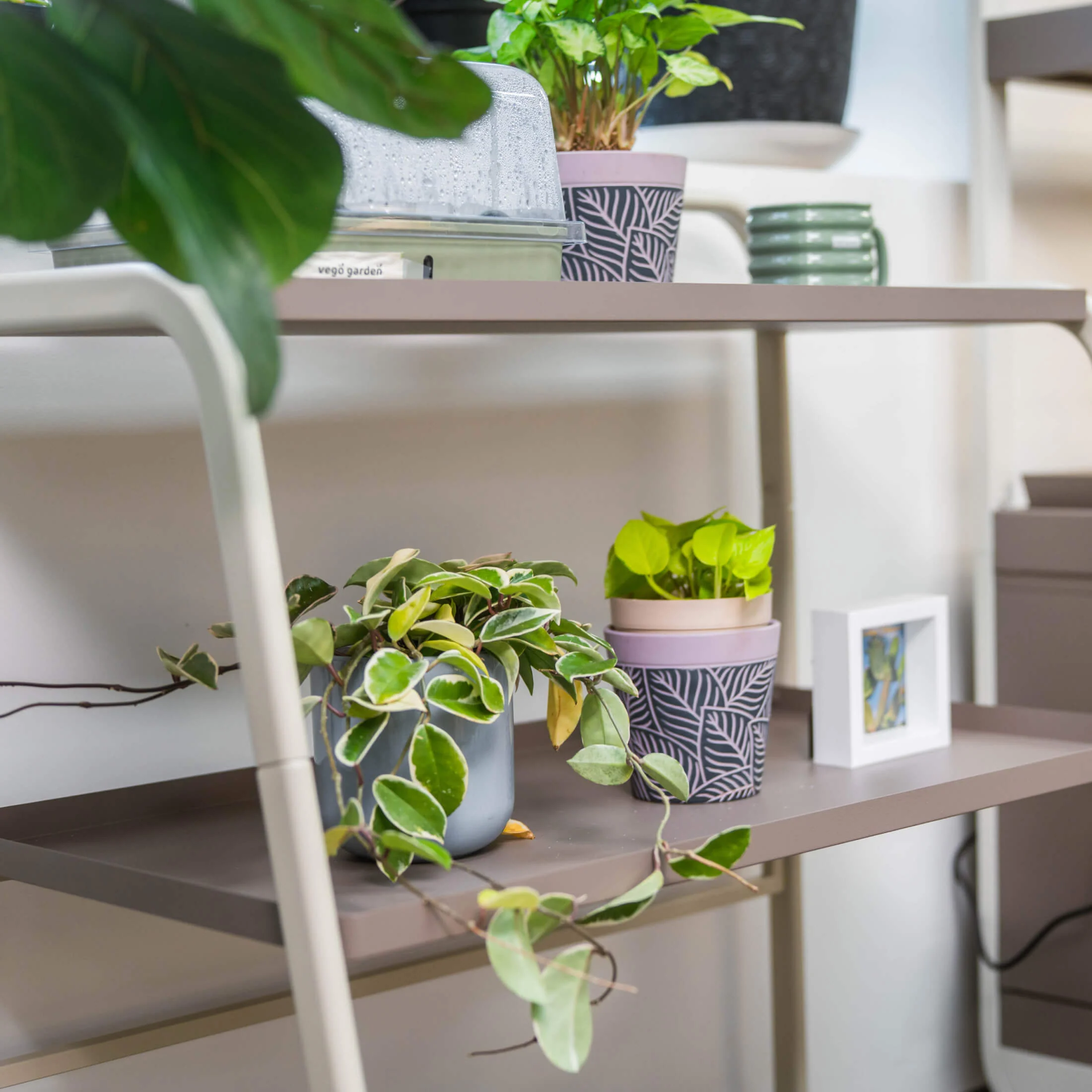 3-Tier Shelf Plant Stand - Image 10