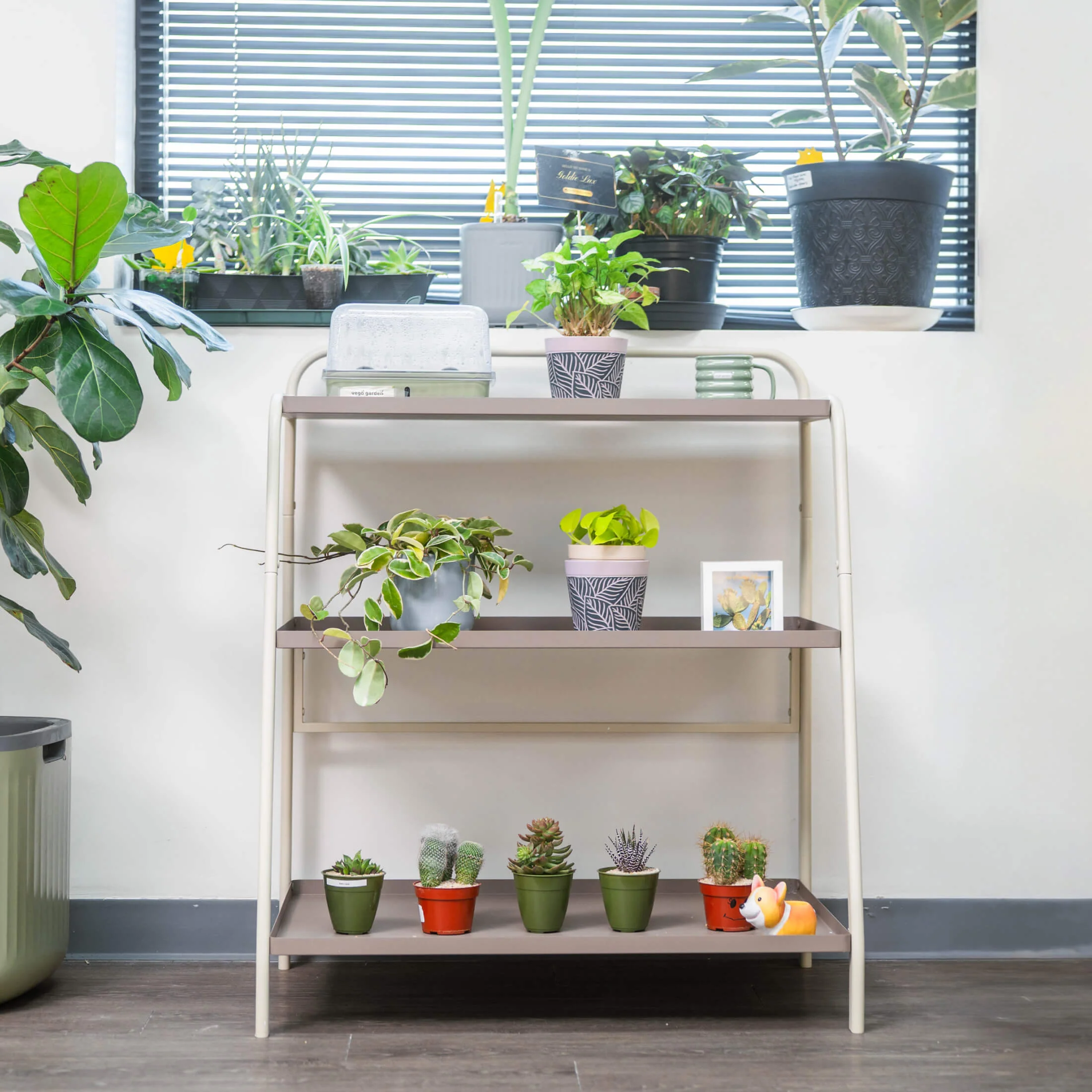 3-Tier Shelf Plant Stand - Image 3