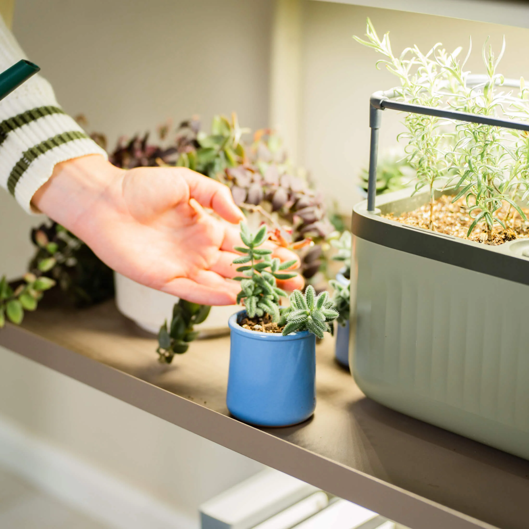 3-Tier Shelf Plant Stand - Image 6