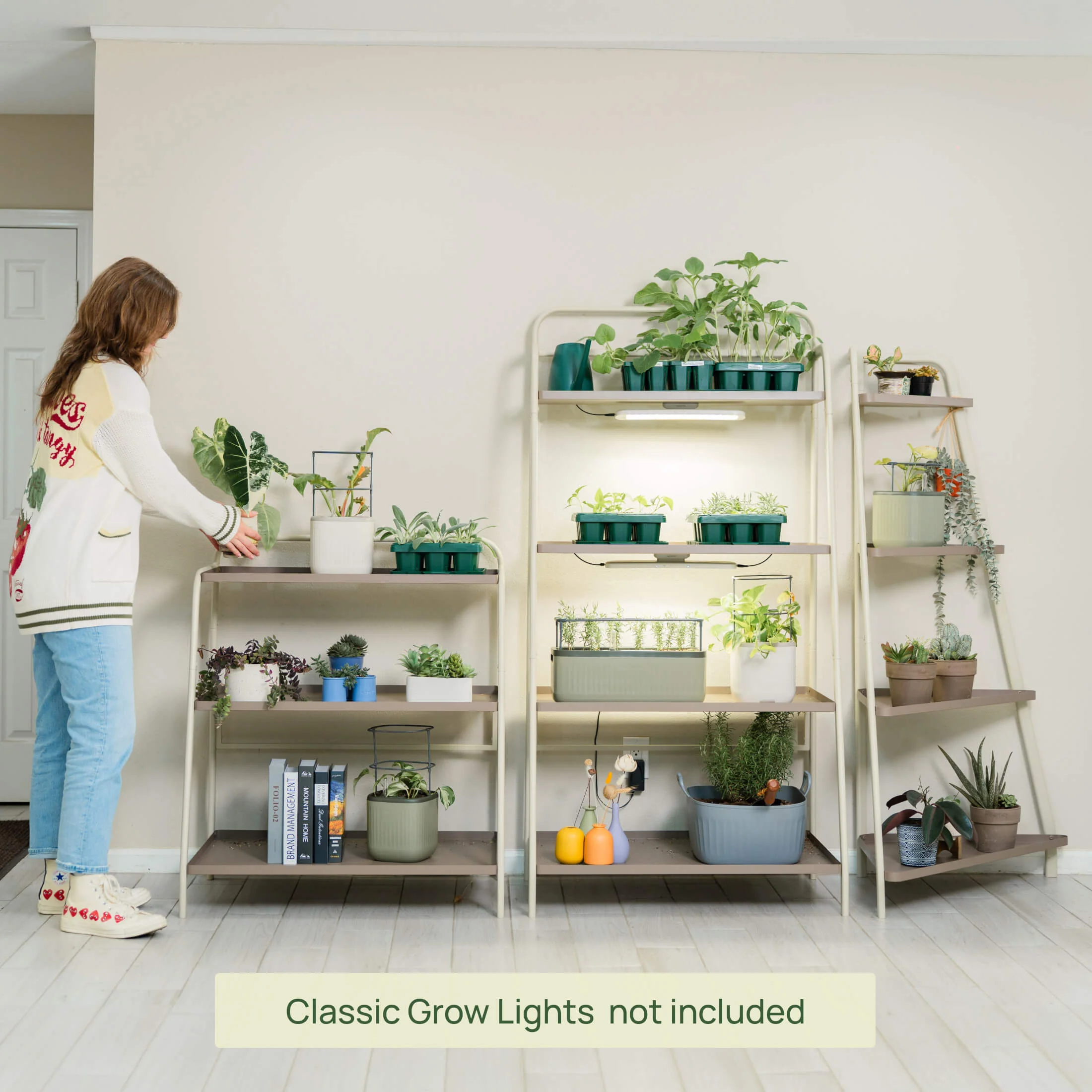 4-Tier Corner Plant Stand - Image 10