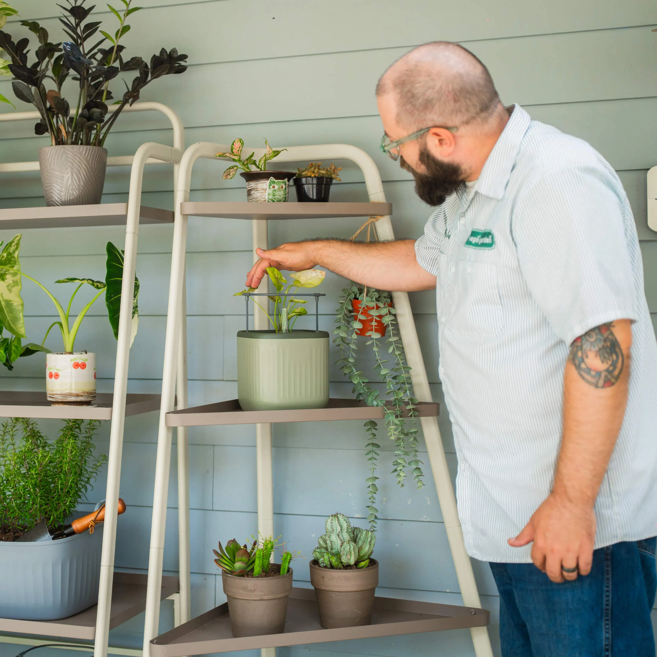 4-Tier Corner Plant Stand - Image 12