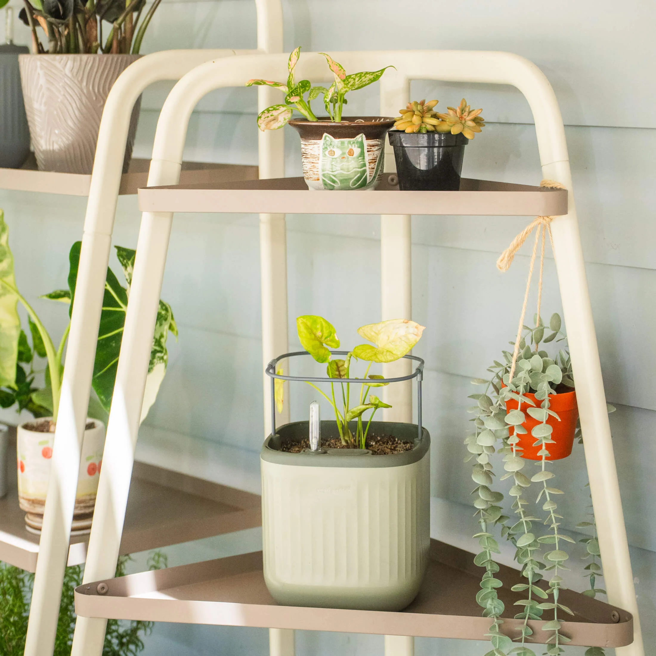 4-Tier Corner Plant Stand - Image 13