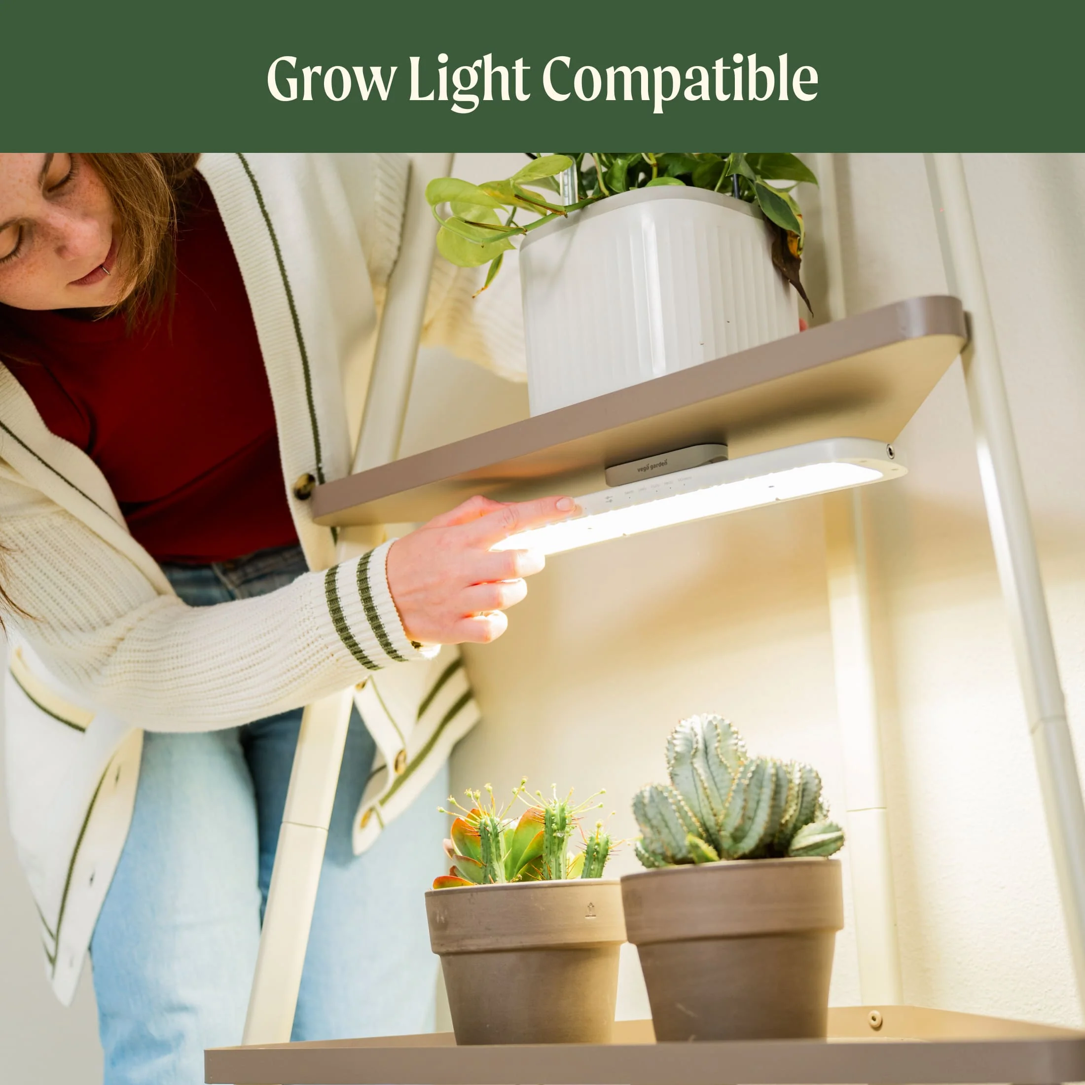 4-Tier Corner Plant Stand - Image 20
