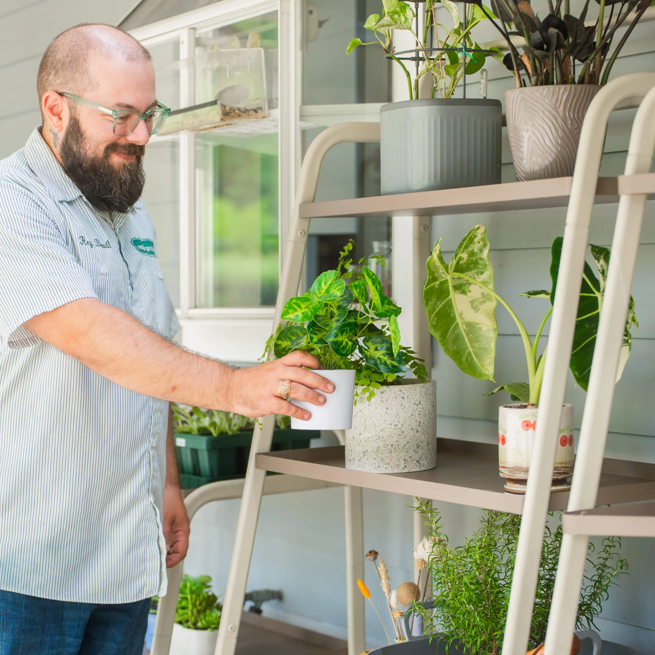 4-Tier Shelf Plant Stand - Image 12