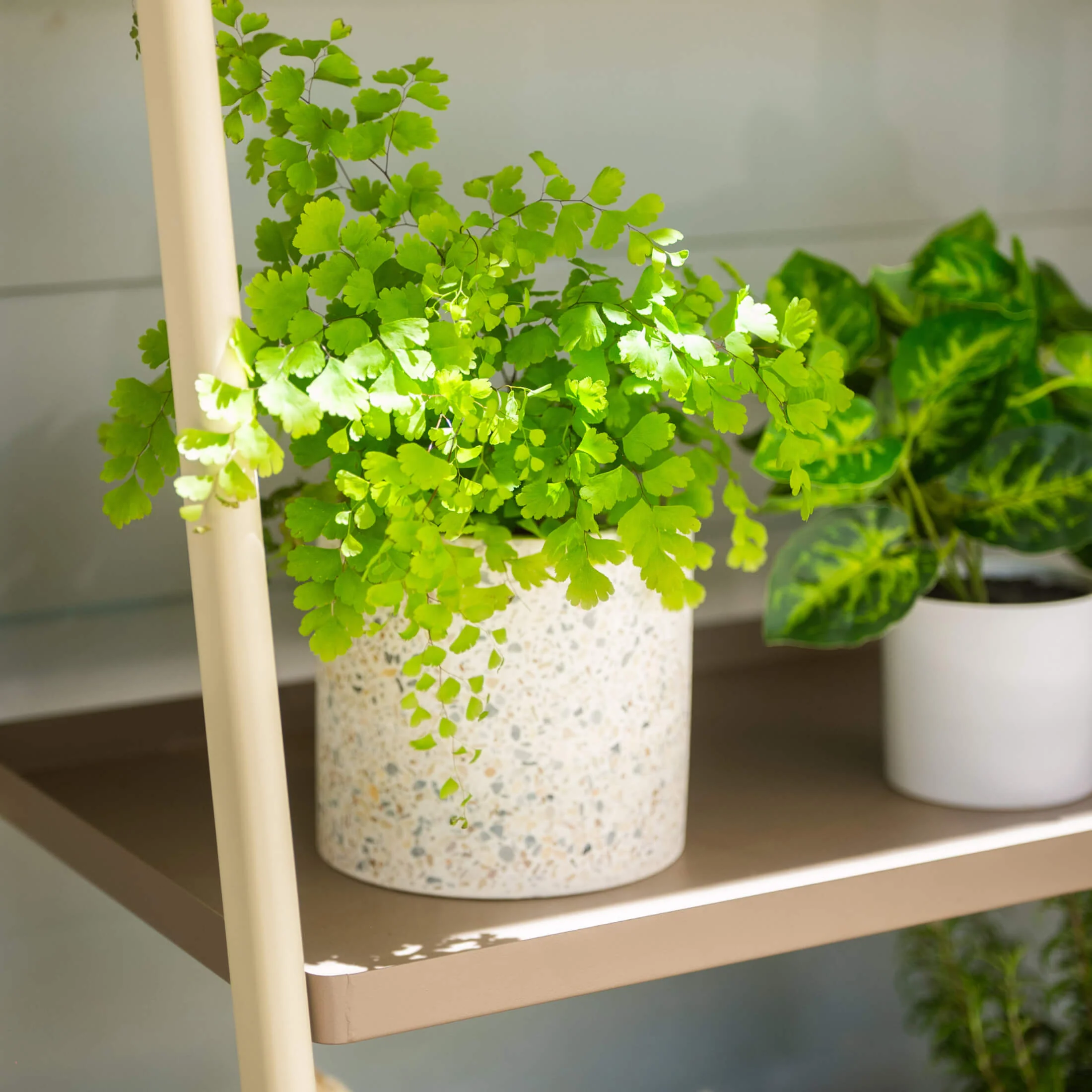 4-Tier Shelf Plant Stand - Image 13