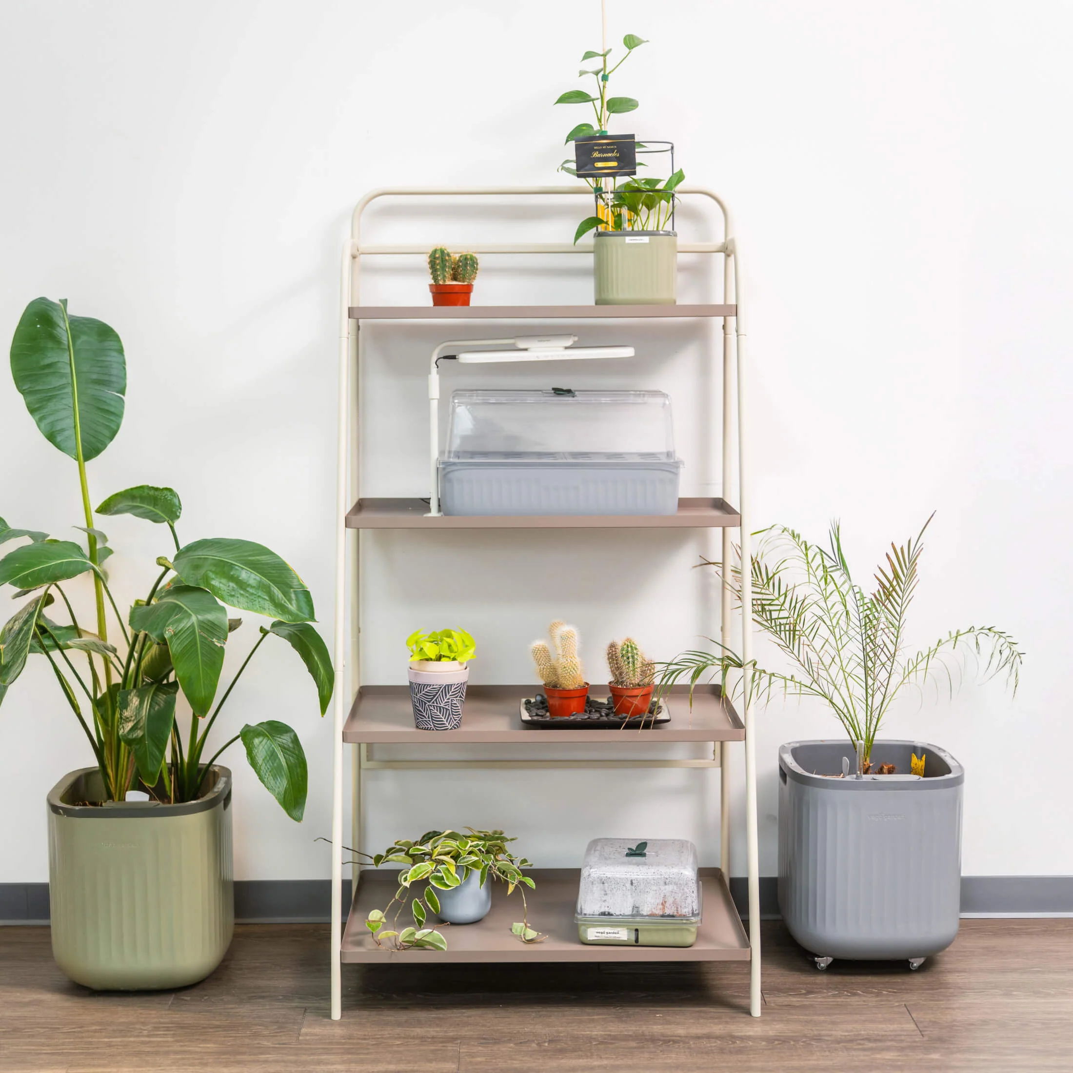 4-Tier Shelf Plant Stand - Image 3
