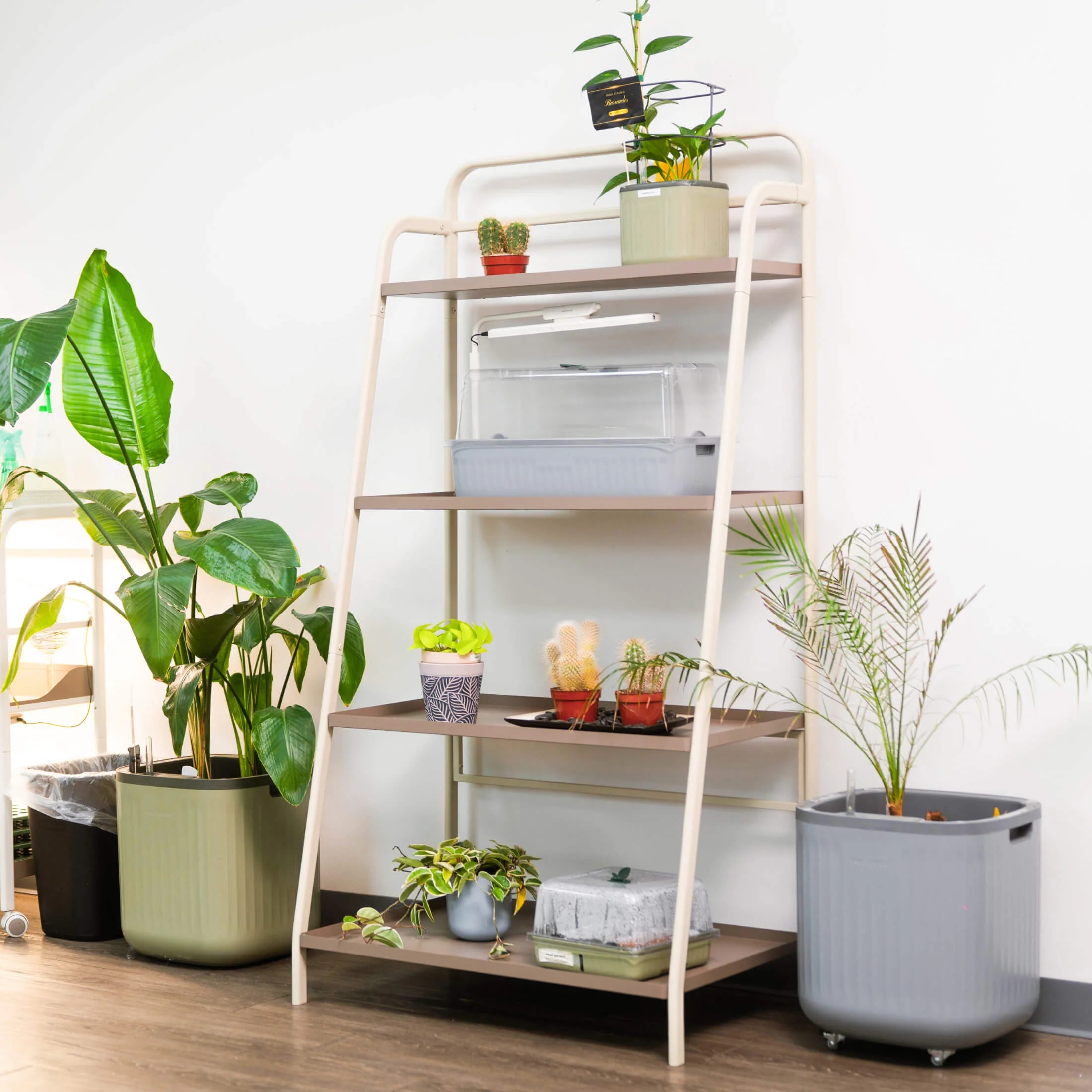 4-Tier Shelf Plant Stand - Image 4