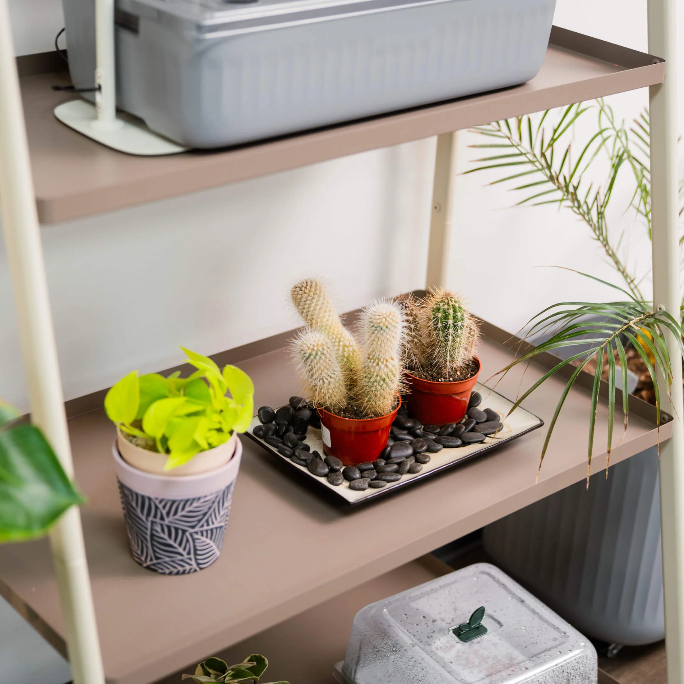 4-Tier Shelf Plant Stand - Image 5