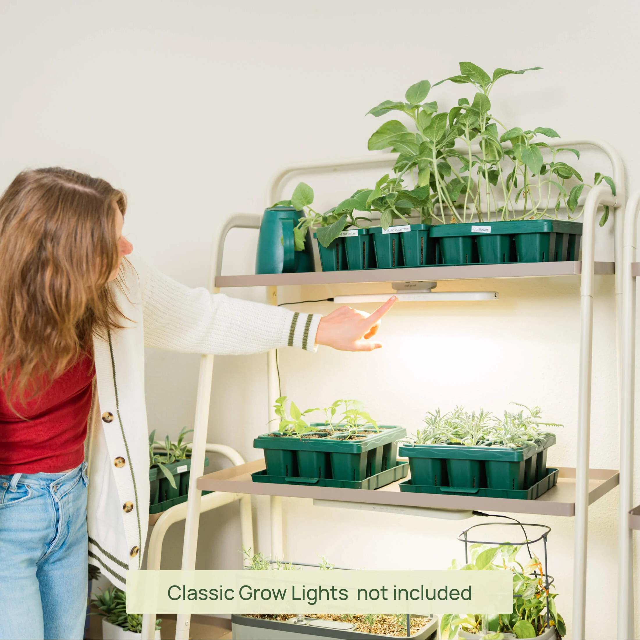 4-Tier Shelf Plant Stand - Image 6