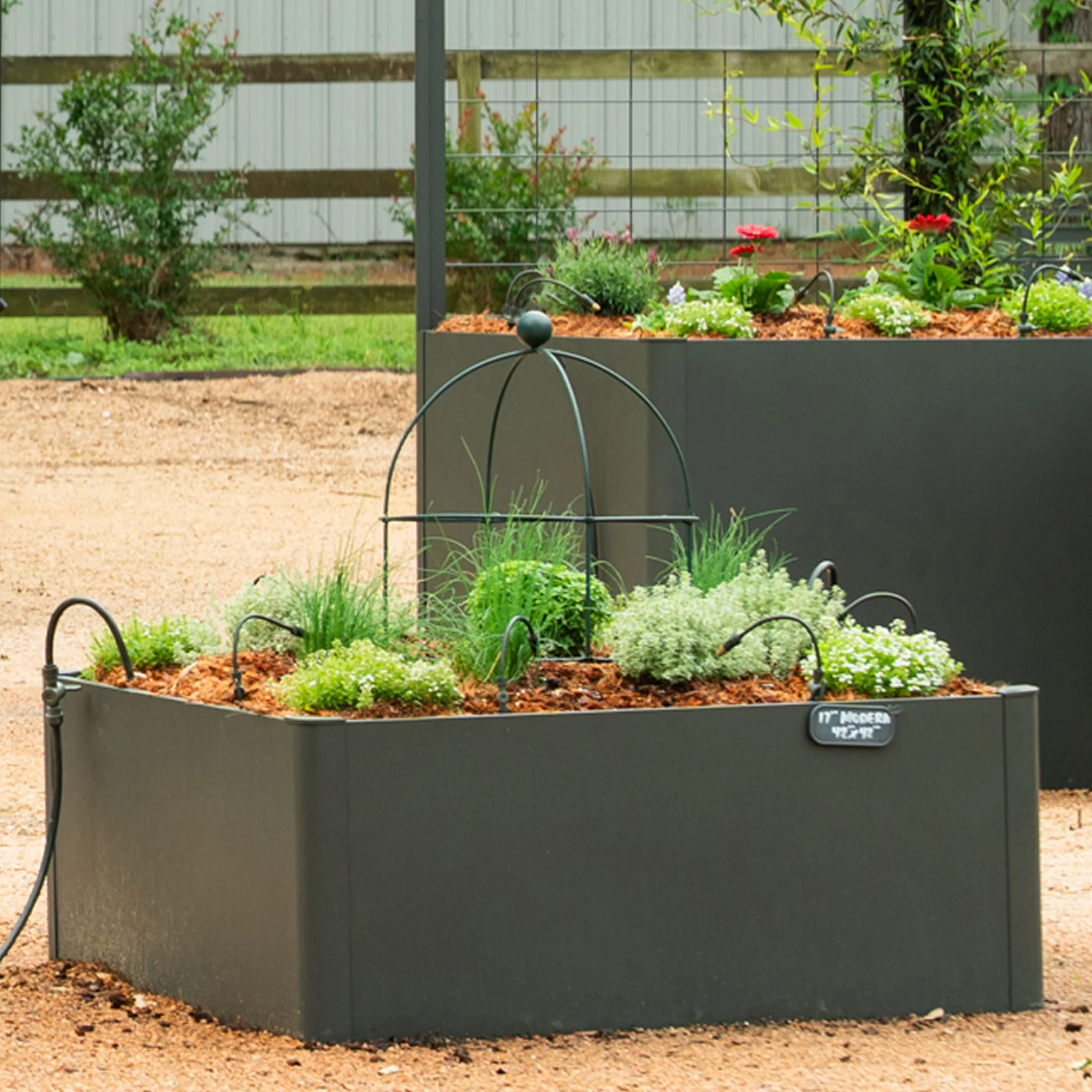 Birdcage Trellis - 2 Pack - Image 11