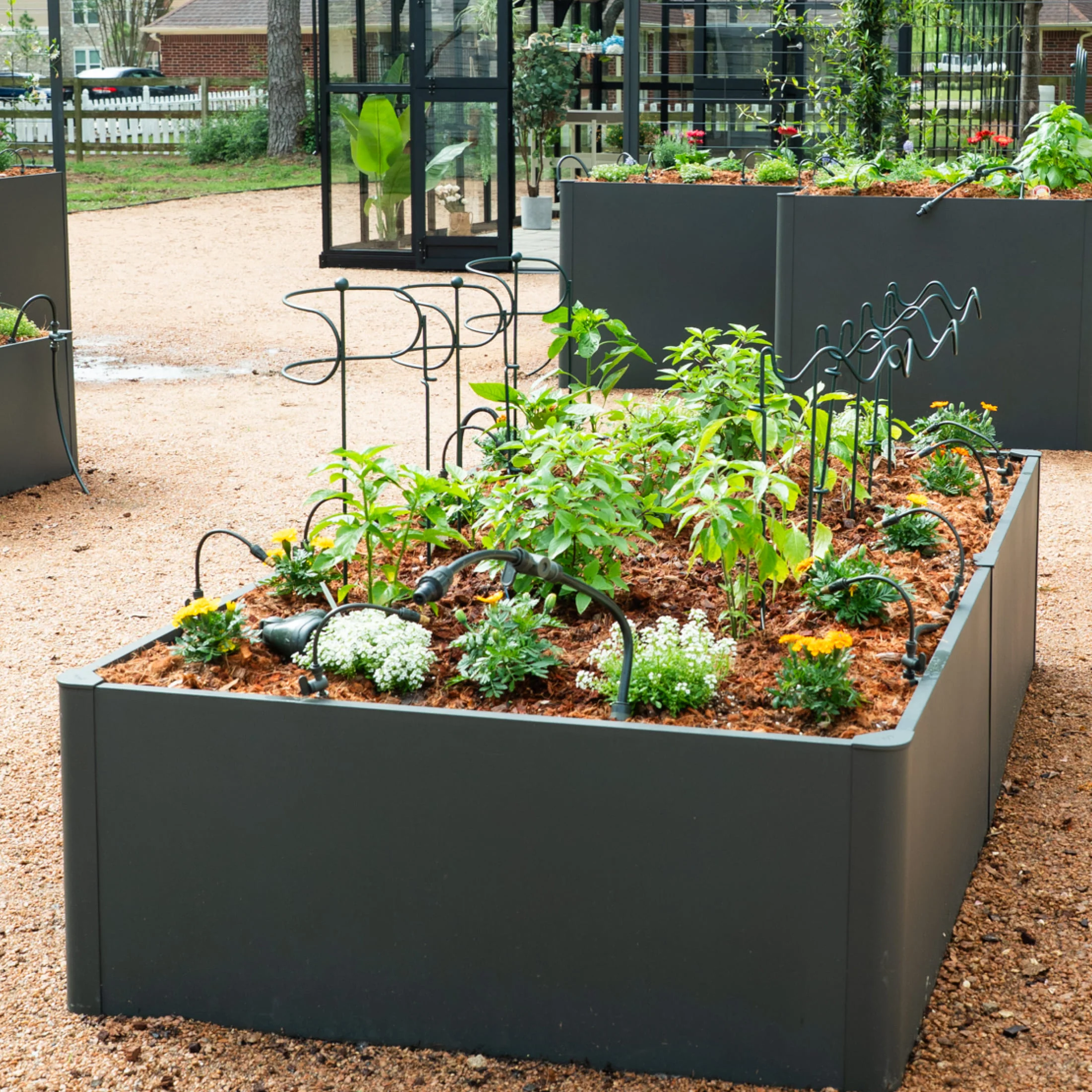Border Plant Support Wavy - 6 Pack - Image 19