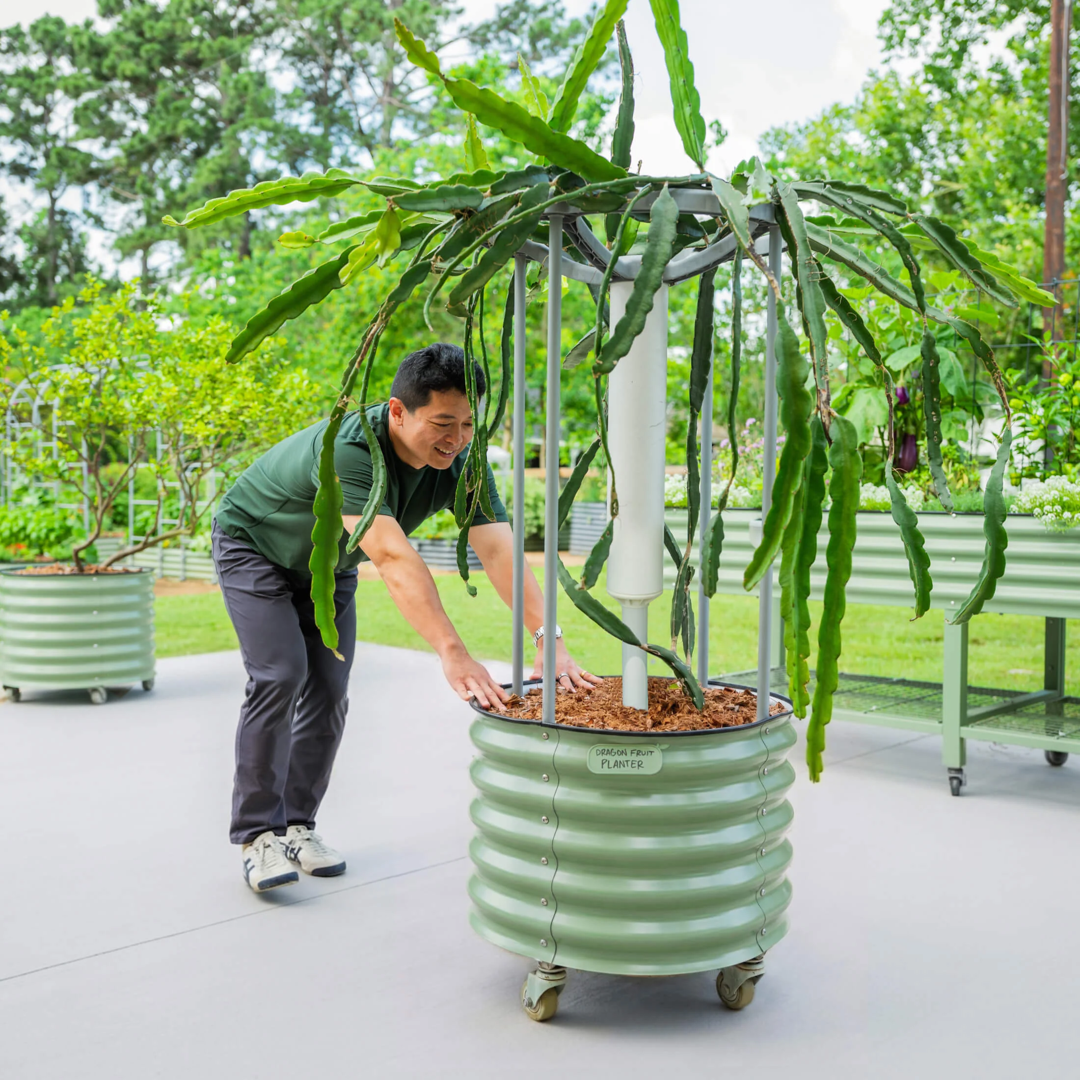 Classic Rolling Dragon Fruit Planter - Image 5