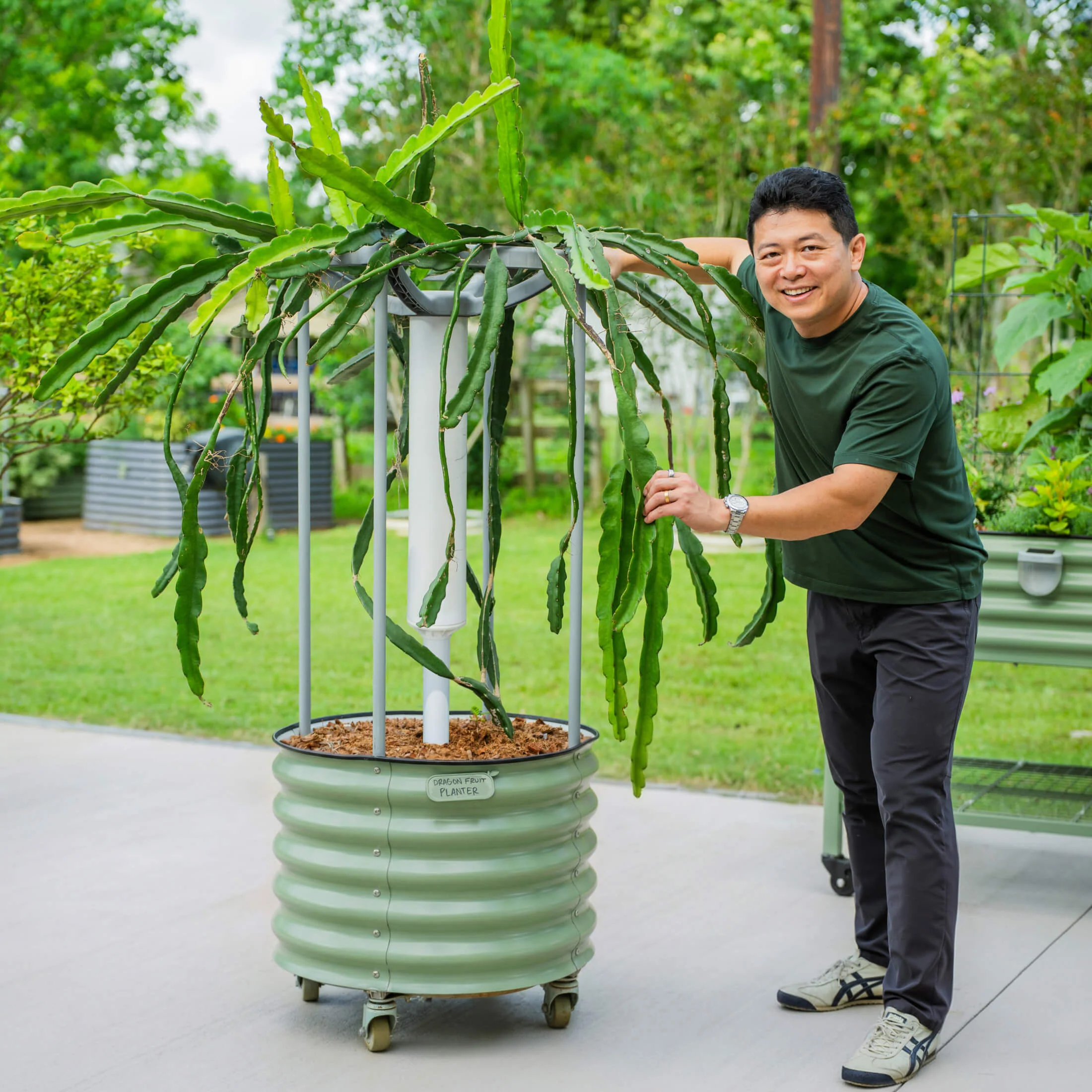 Classic Rolling Dragon Fruit Planter - Image 6