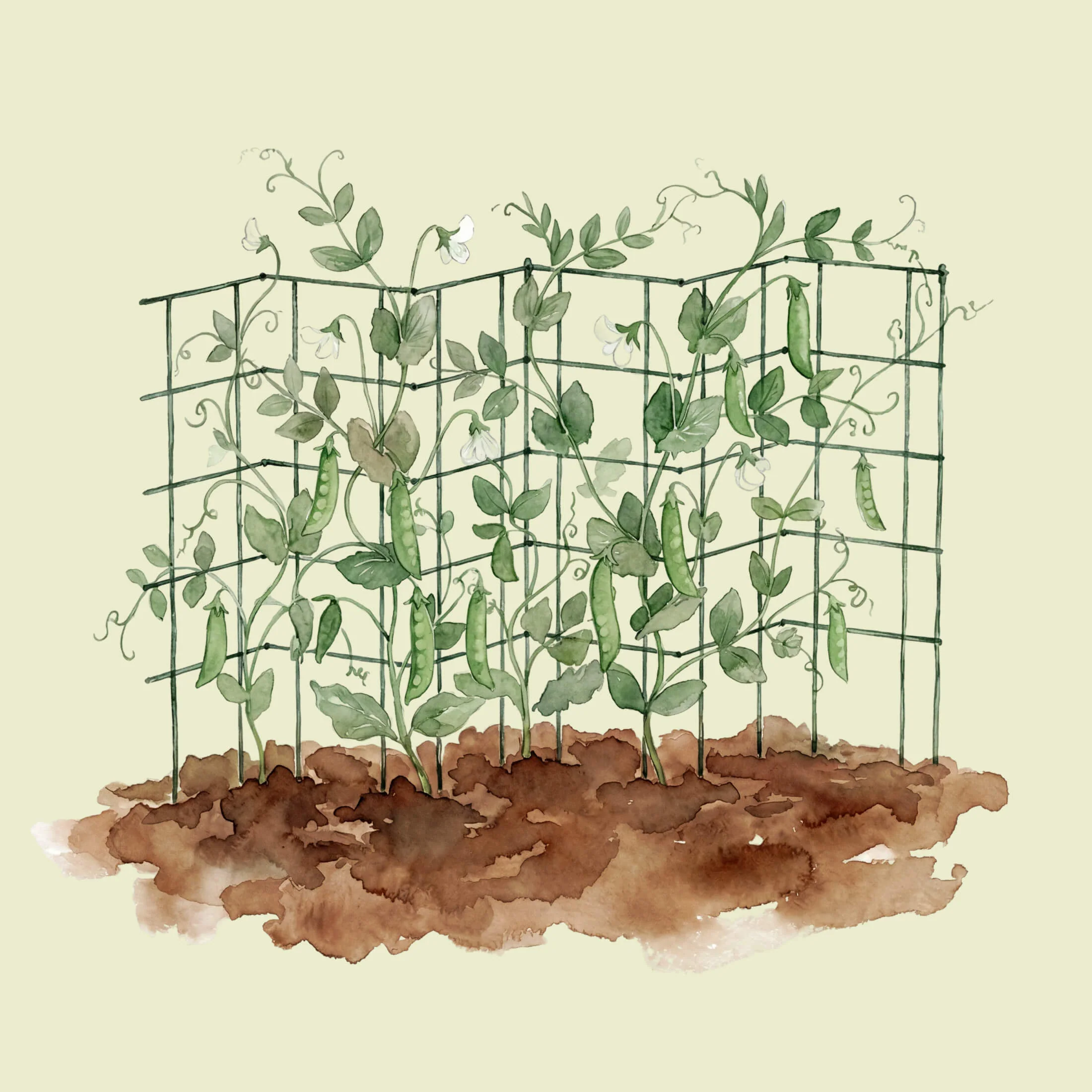 FlexGrow™ Modular 3-Panel Tomato Cage System - 14.5" - Image 18