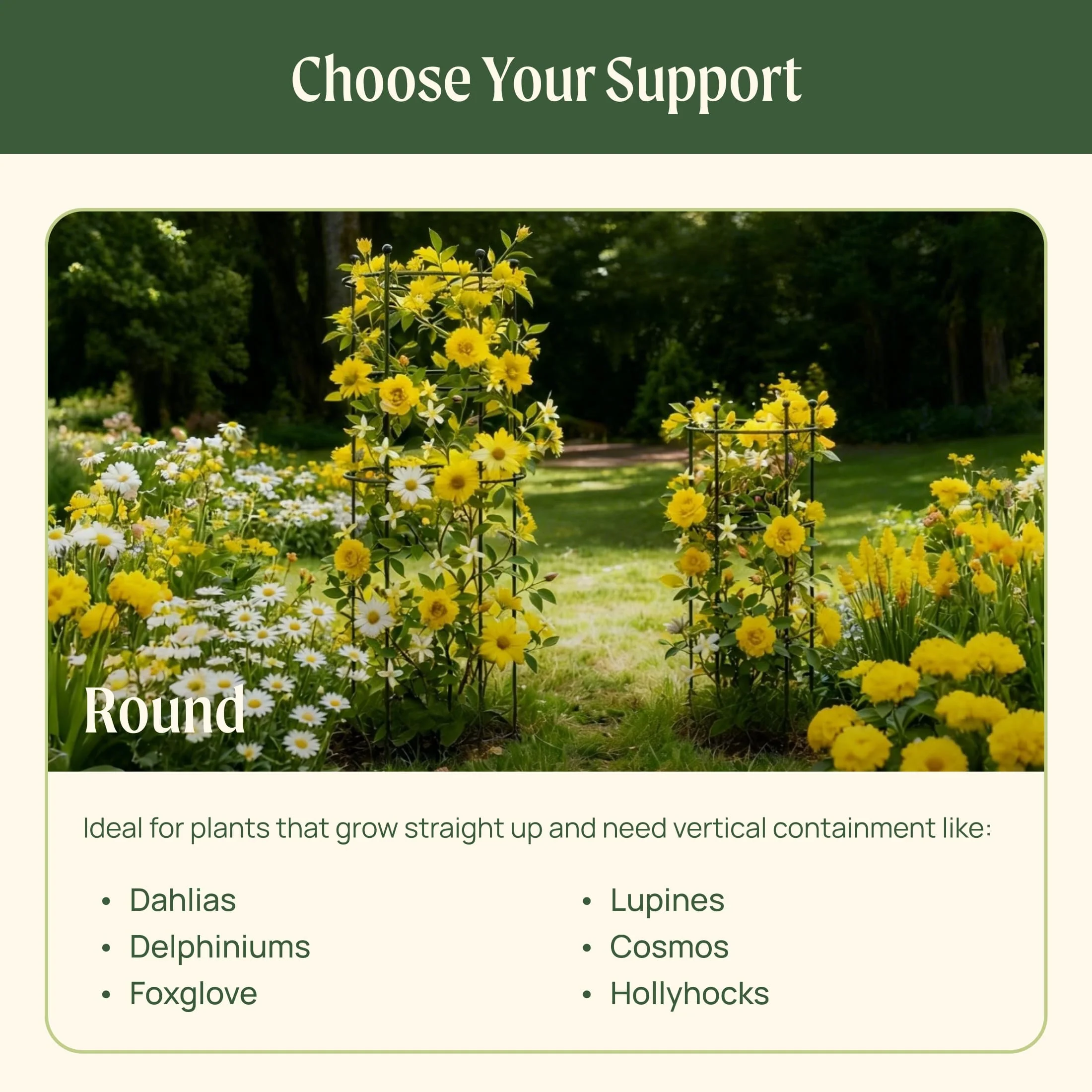 Flower Cage Round - 2 Pack - Image 13