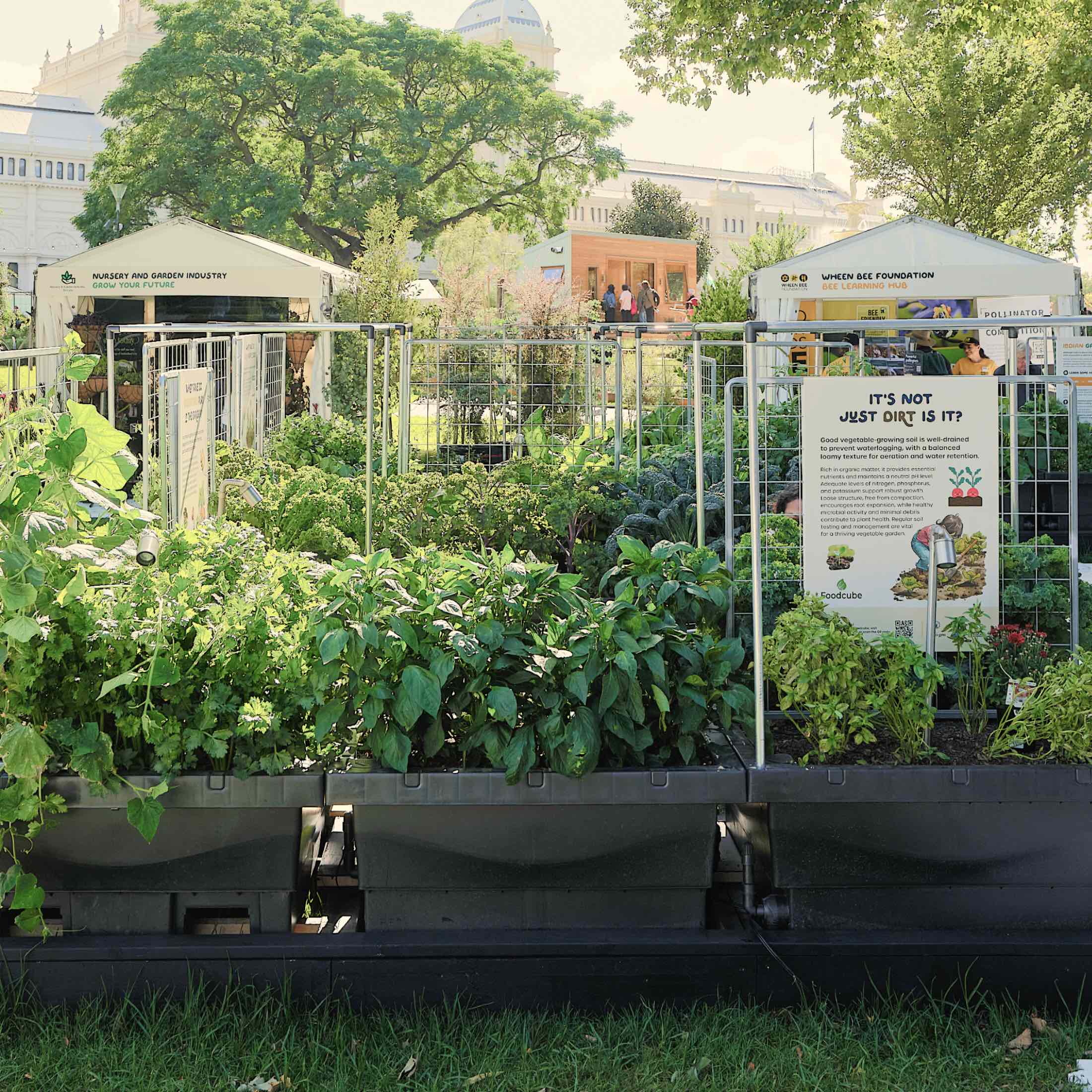 Foodcube™ Slim- The Next Generation of Self Watering Raised Garden Elevated - Image 4