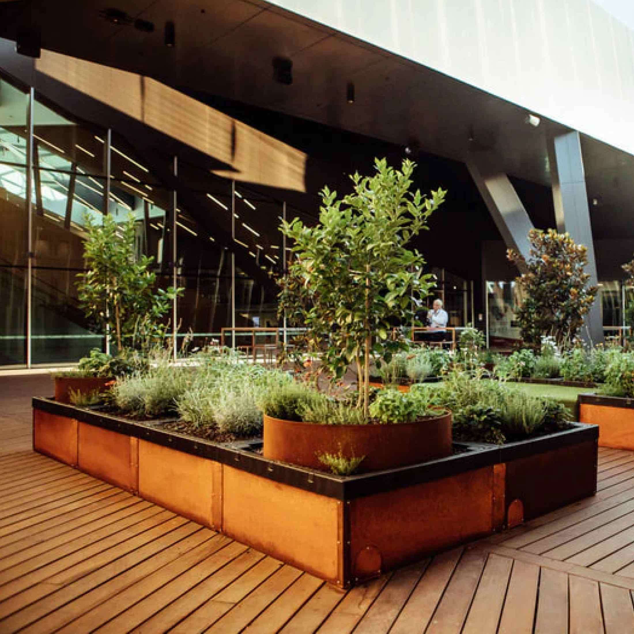 Foodcube™ Slim- The Next Generation of Self Watering Raised Garden Elevated - Image 7