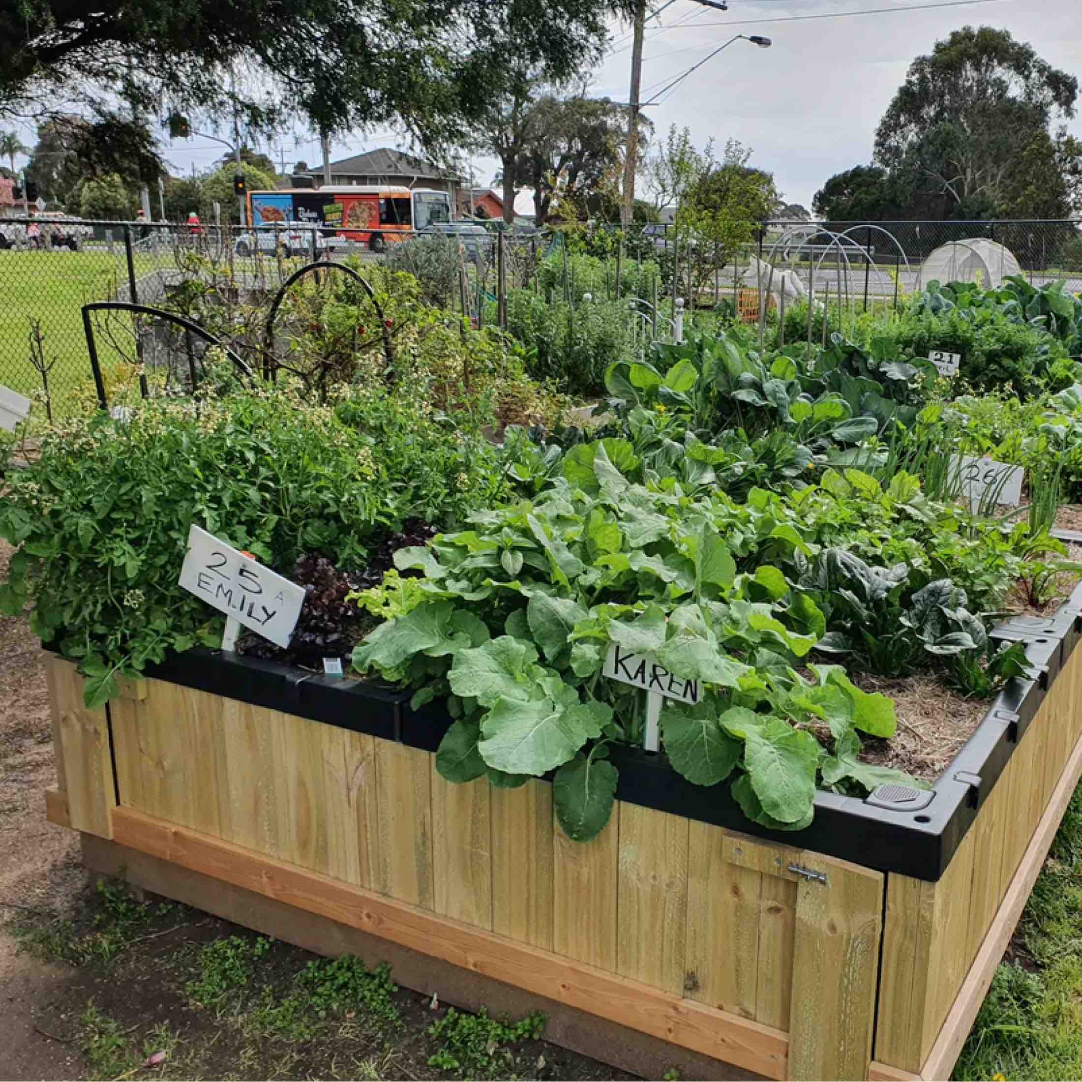 Foodcube™ Slim- The Next Generation of Self Watering Raised Garden Elevated - Image 8