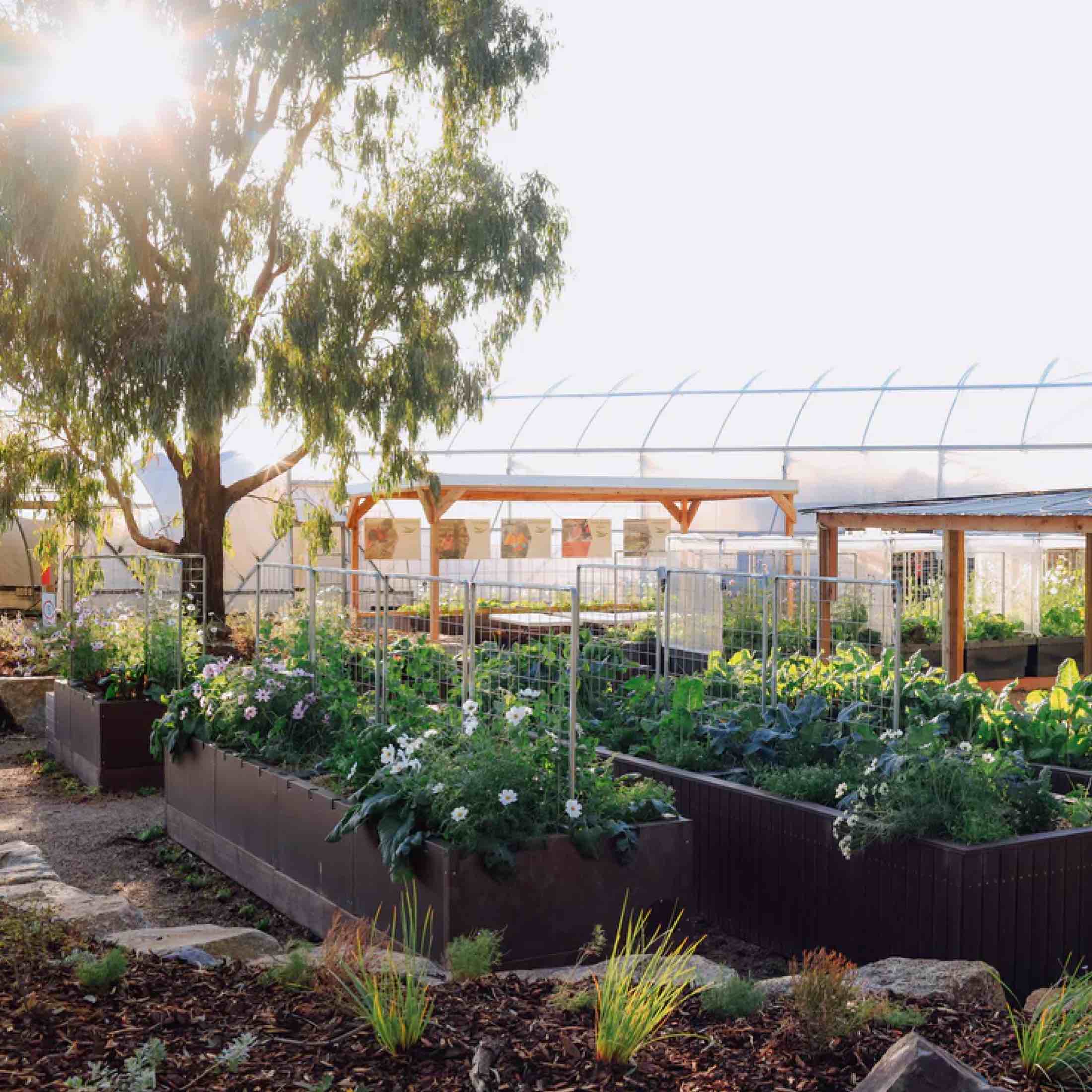 Foodcube™ Wall Trellis - Image 7