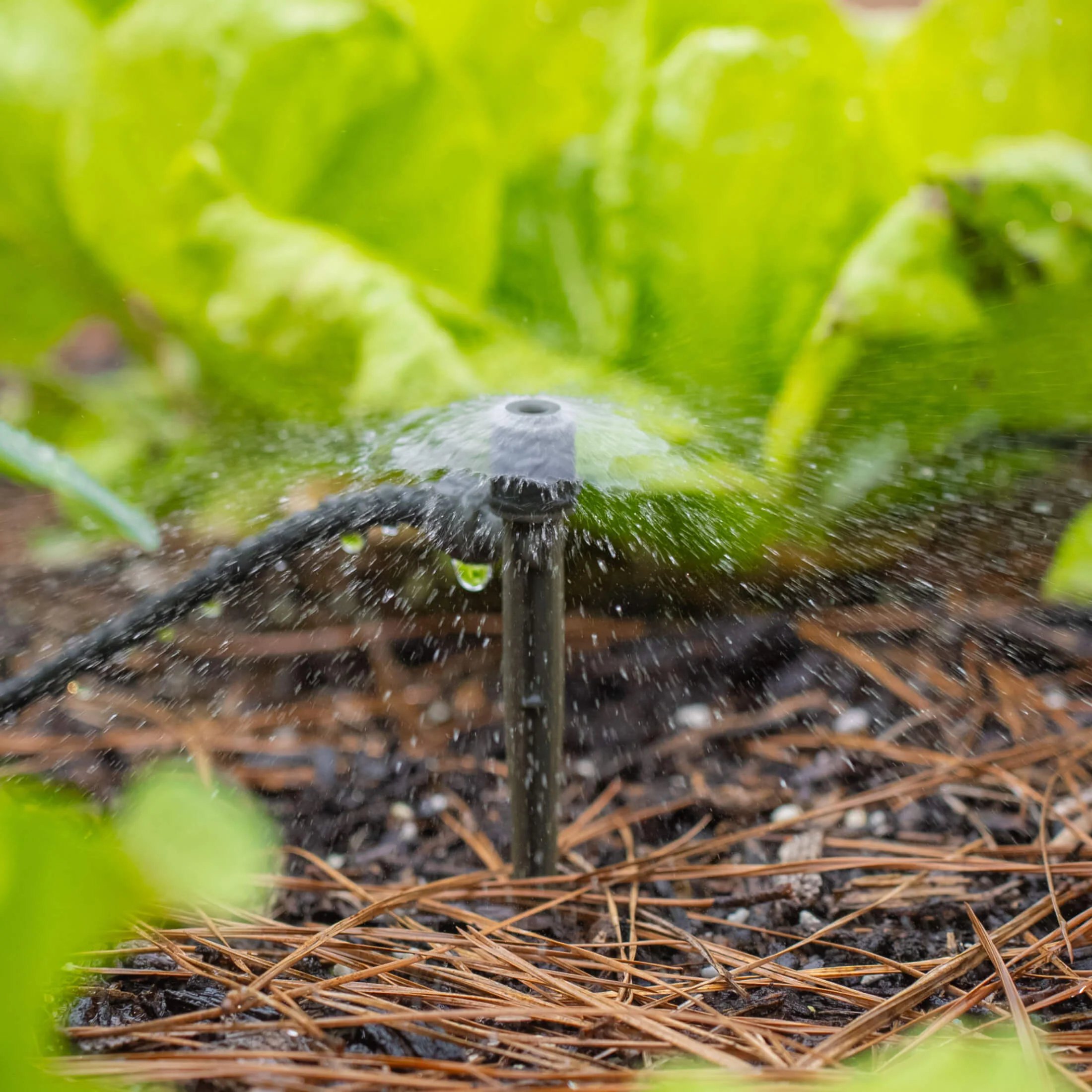 Fountain Sprinkler for Irrigation Kit - Image 2