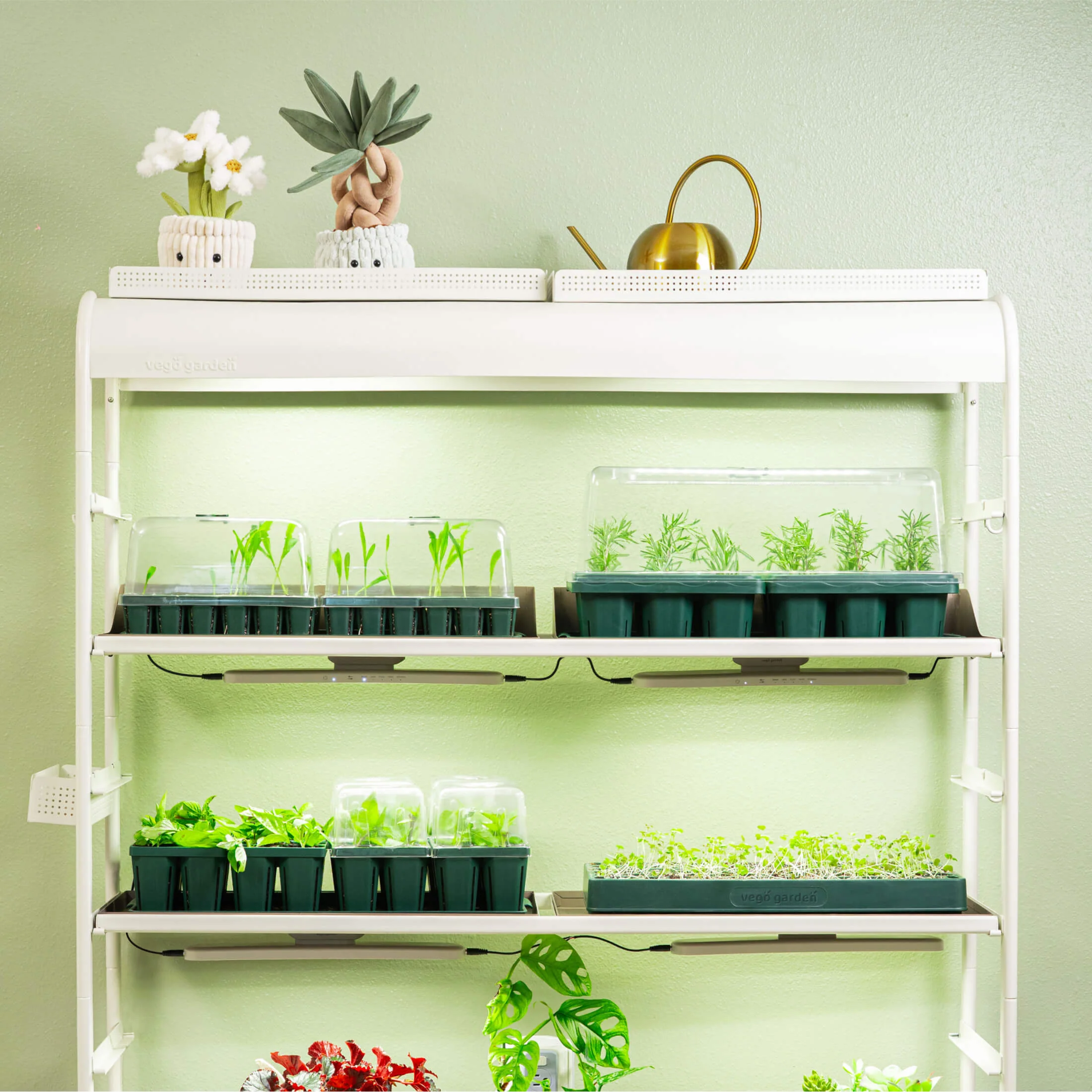 Giga 1020 Up Pot Bundle - Image 2