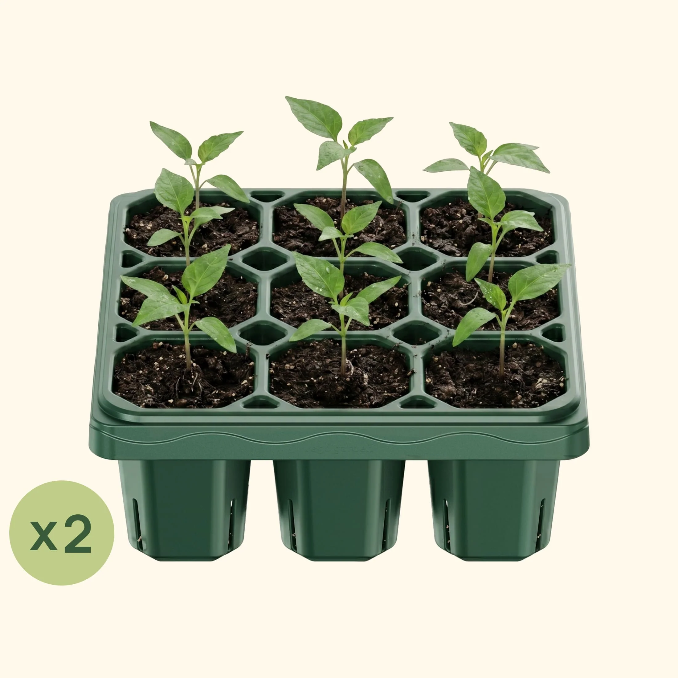 Giga Seedling Tray - 10" x 10" - Image 11