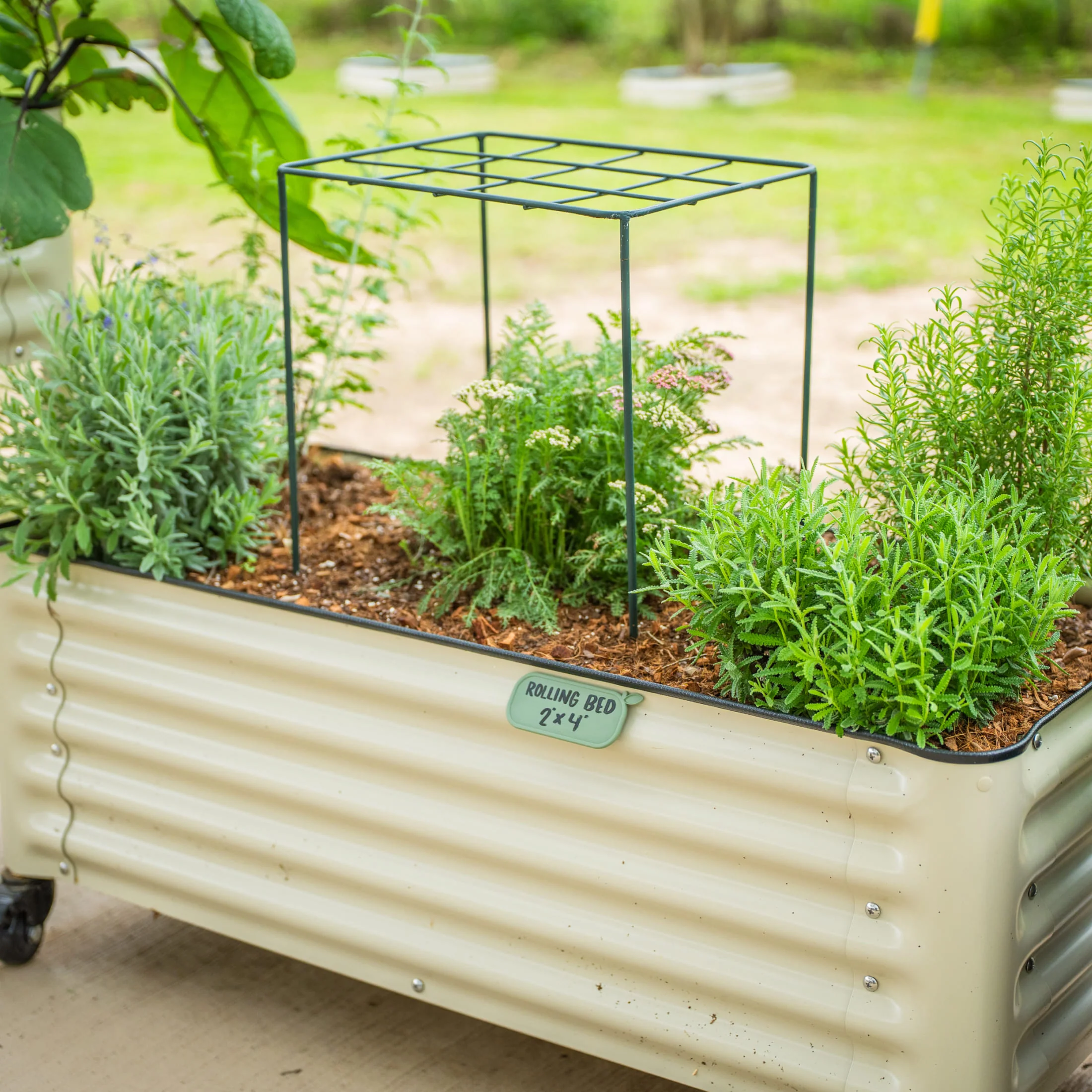 Grow Through Support - Grid - 4 Pack - Image 14