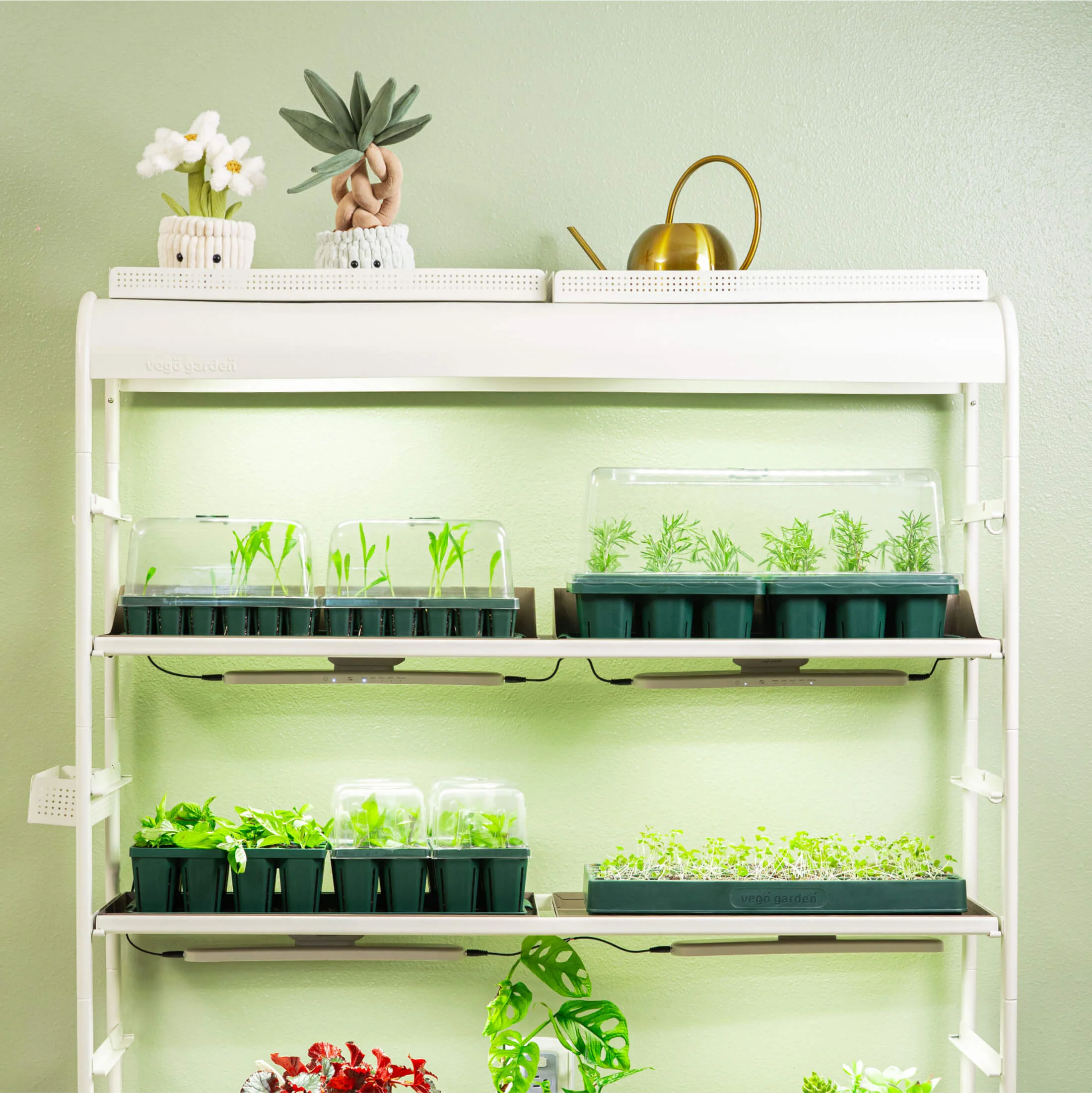 Jumbo 1020 Up Pot Cell Bundle - Image 2