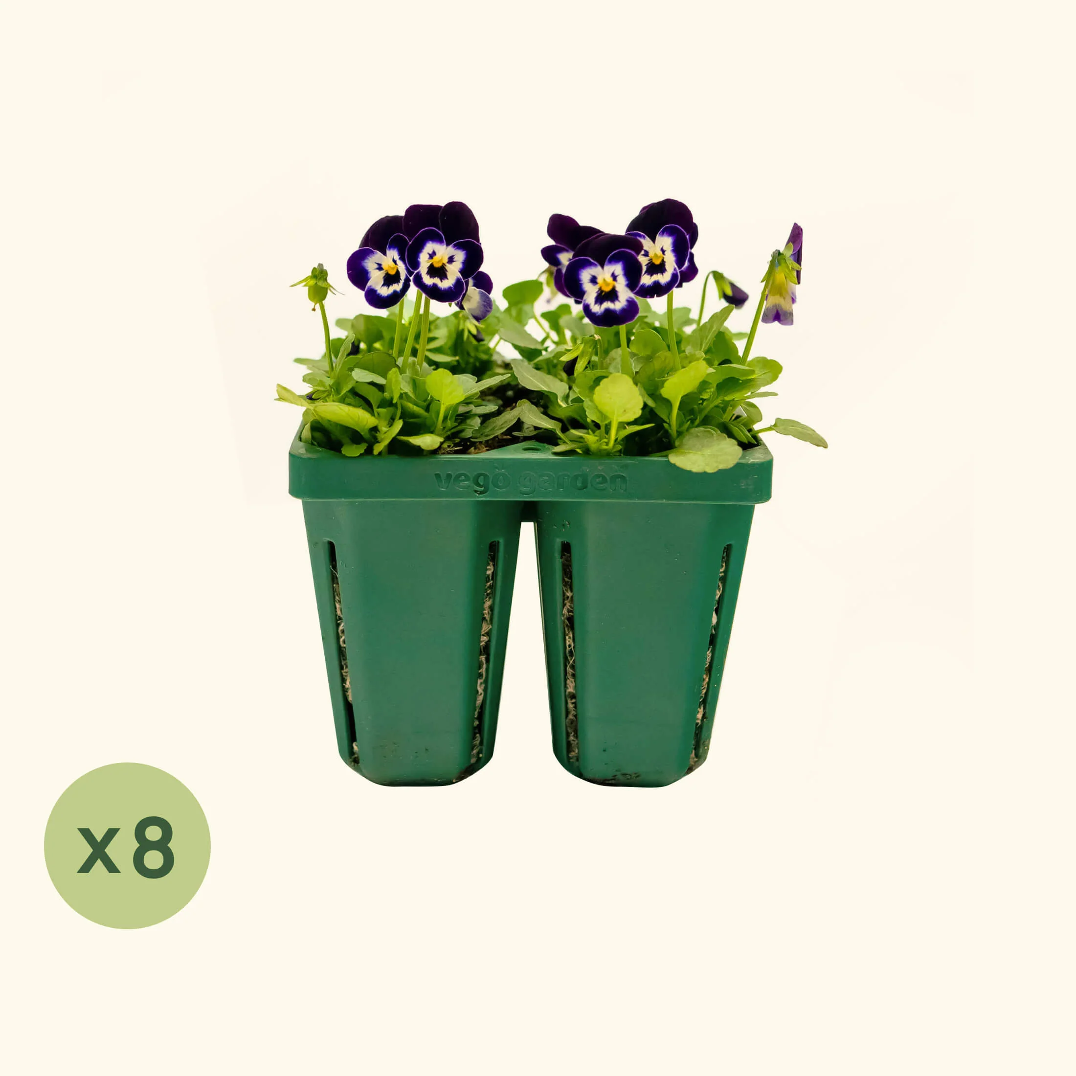 Jumbo Seedling Tray - 5" x 5" - Image 12