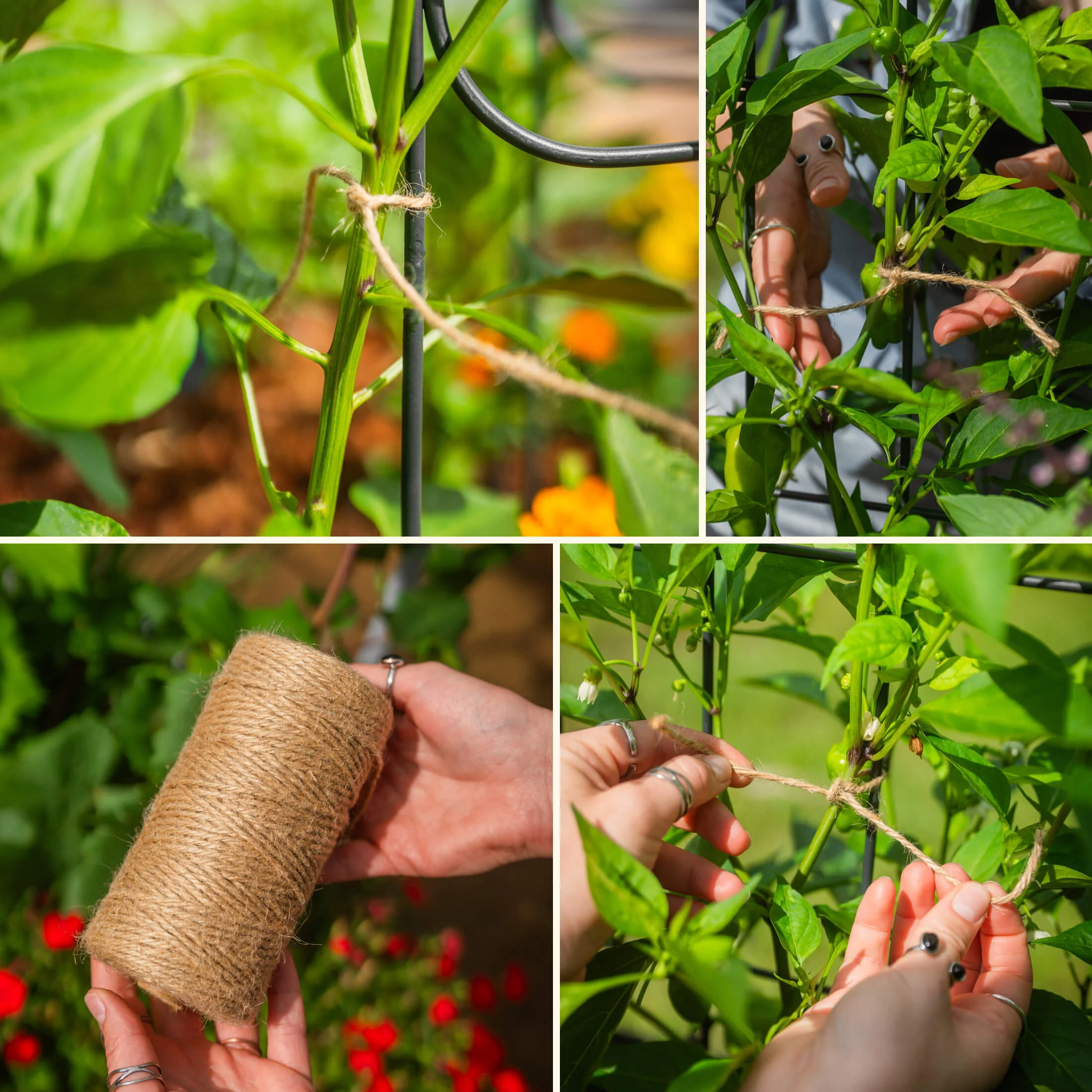 Jute Garden Twine - 2 Pack - Image 7