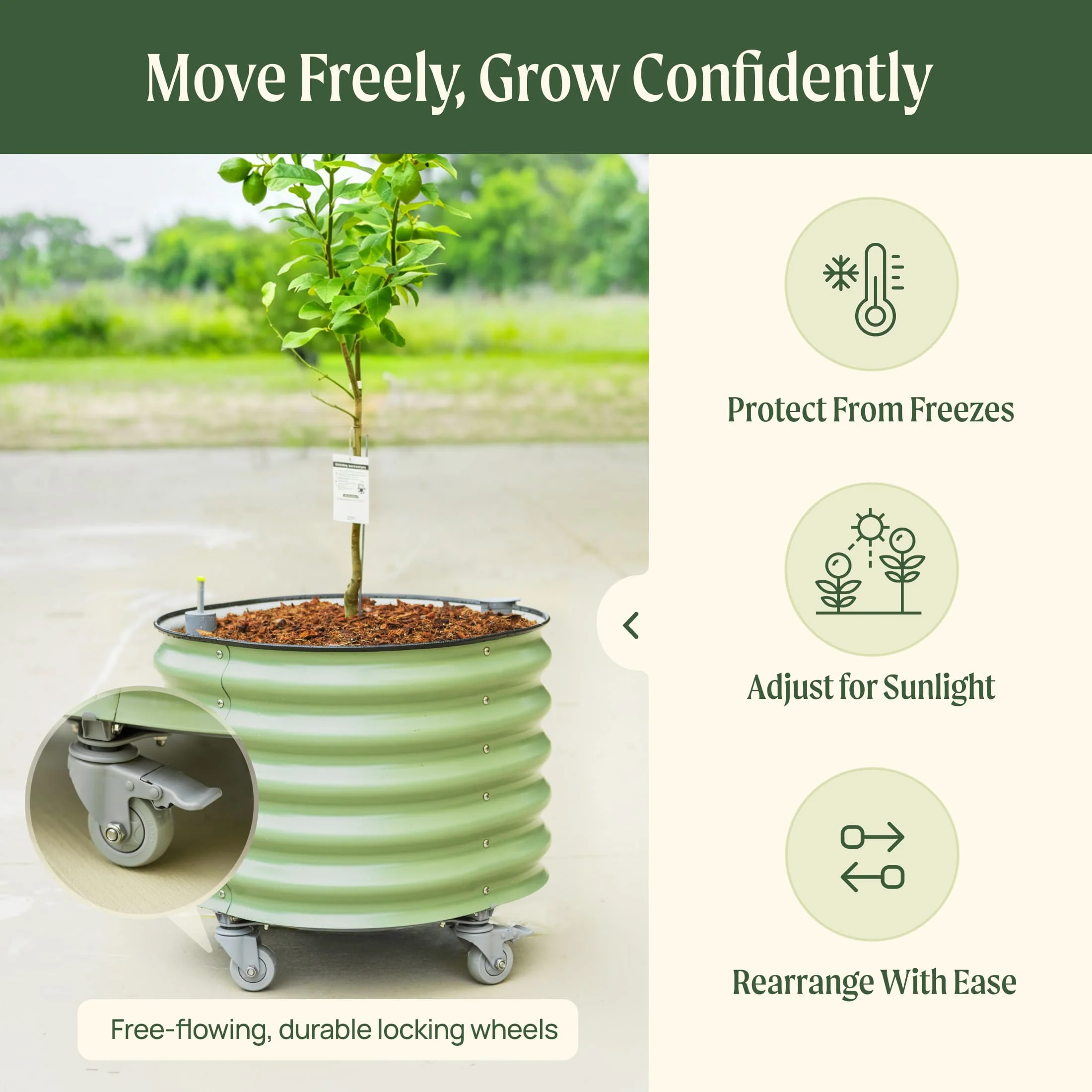 Self-Watering Rolling Citrus Tree Planter 30 Gallon - Gen 3 - Image 17
