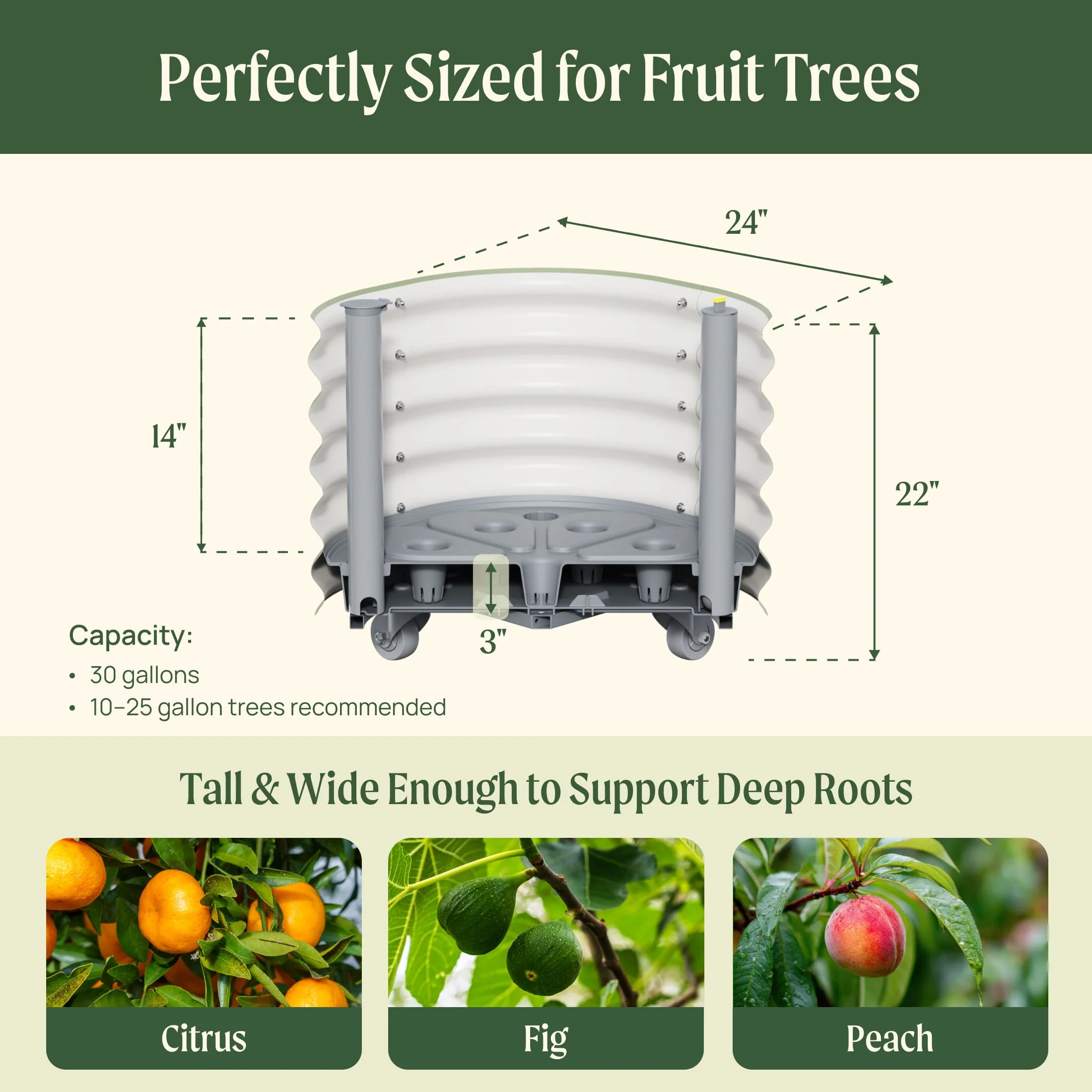 Self-Watering Rolling Citrus Tree Planter 30 Gallon - Gen 3 - Image 20