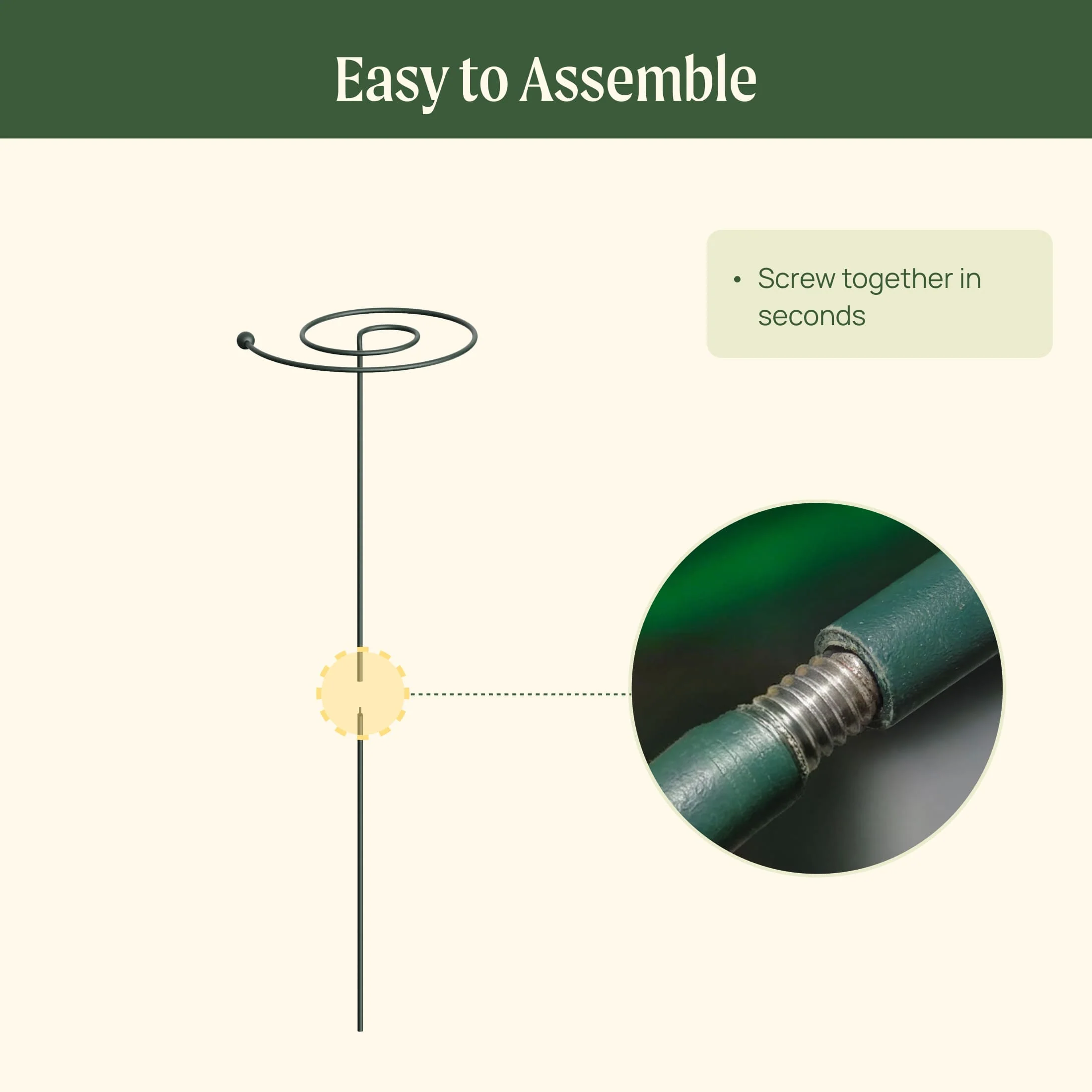 Single Stem Plant Support Spiral - 3 Pack - Image 10