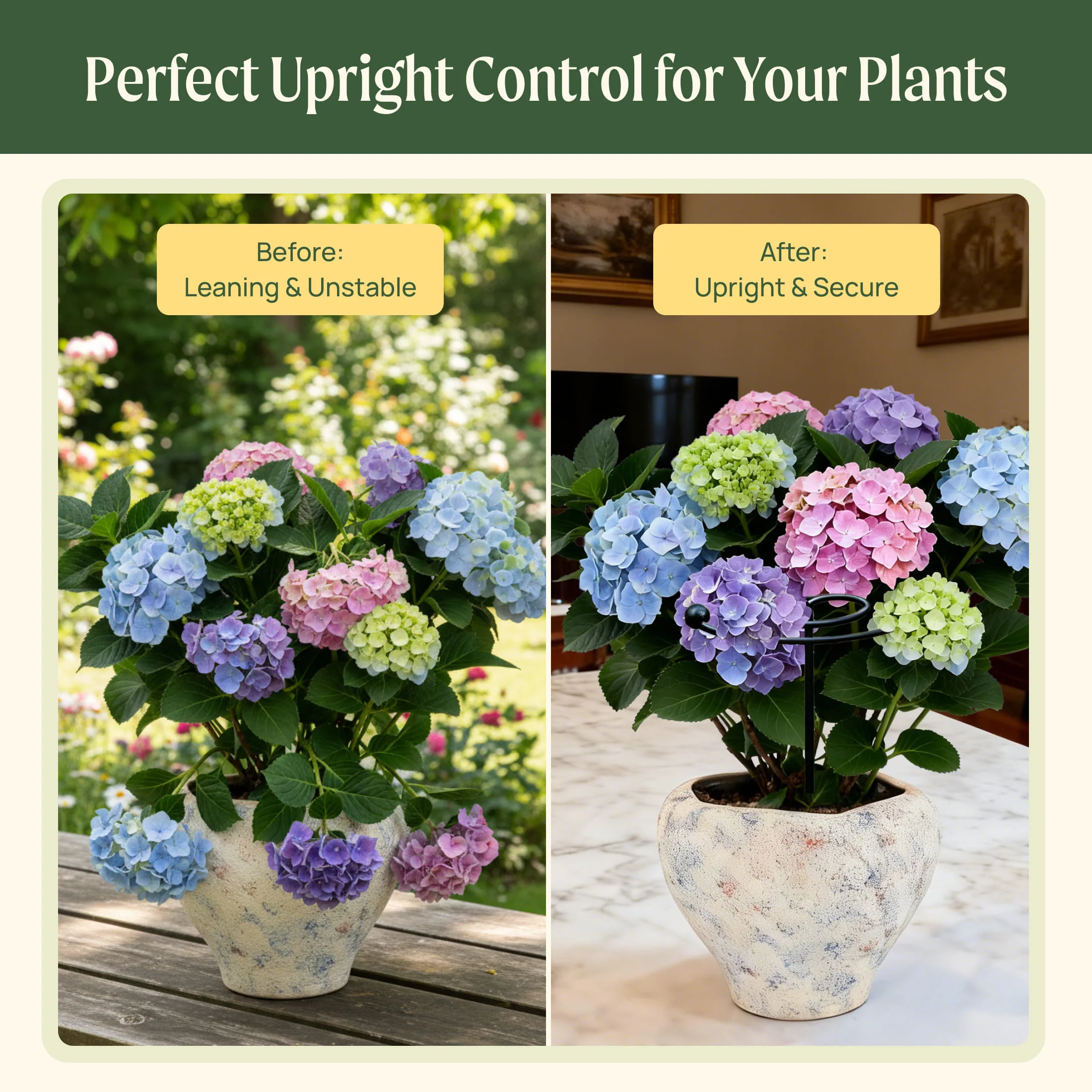 Single Stem Plant Support Spiral - 3 Pack - Image 7