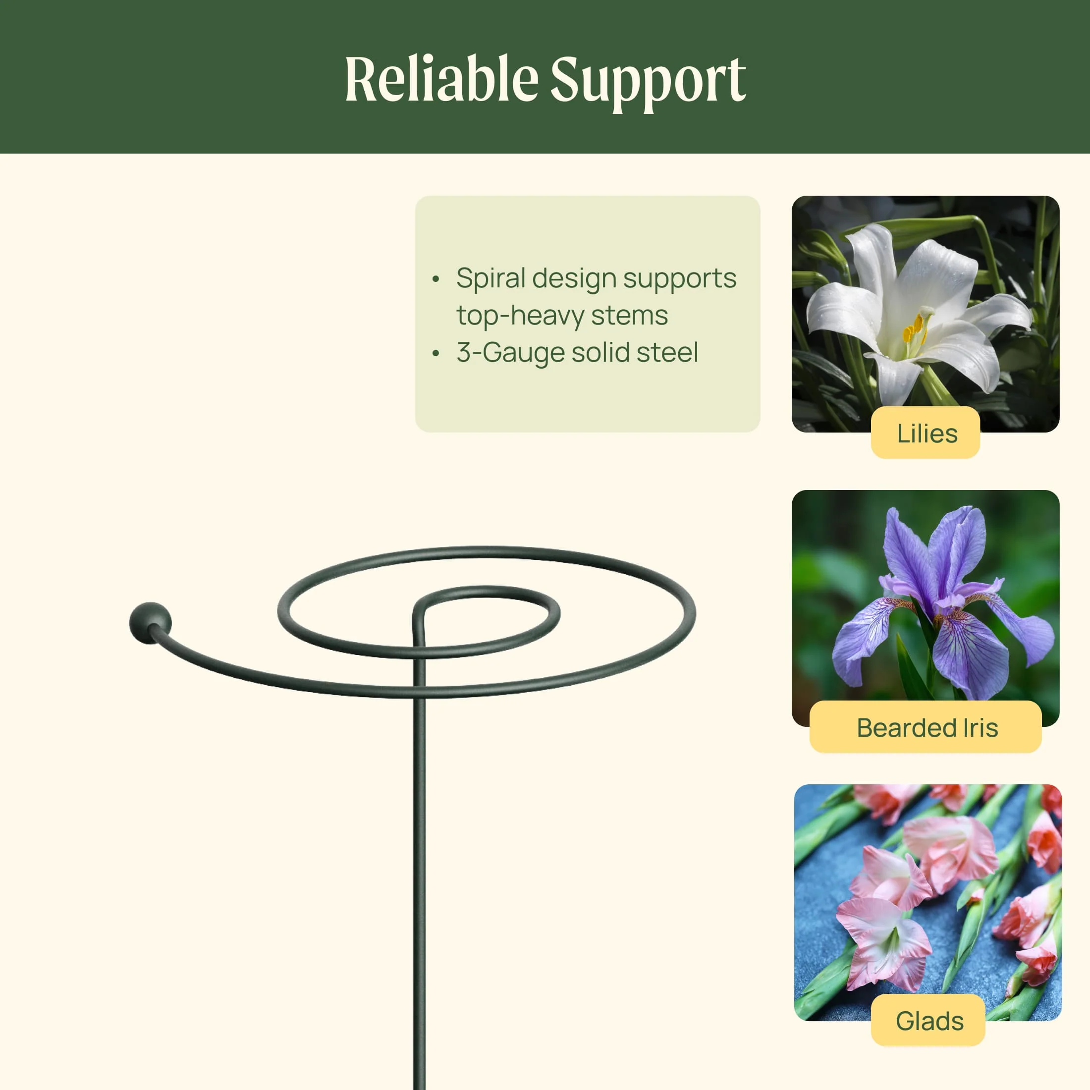 Single Stem Plant Support Spiral - 3 Pack - Image 8
