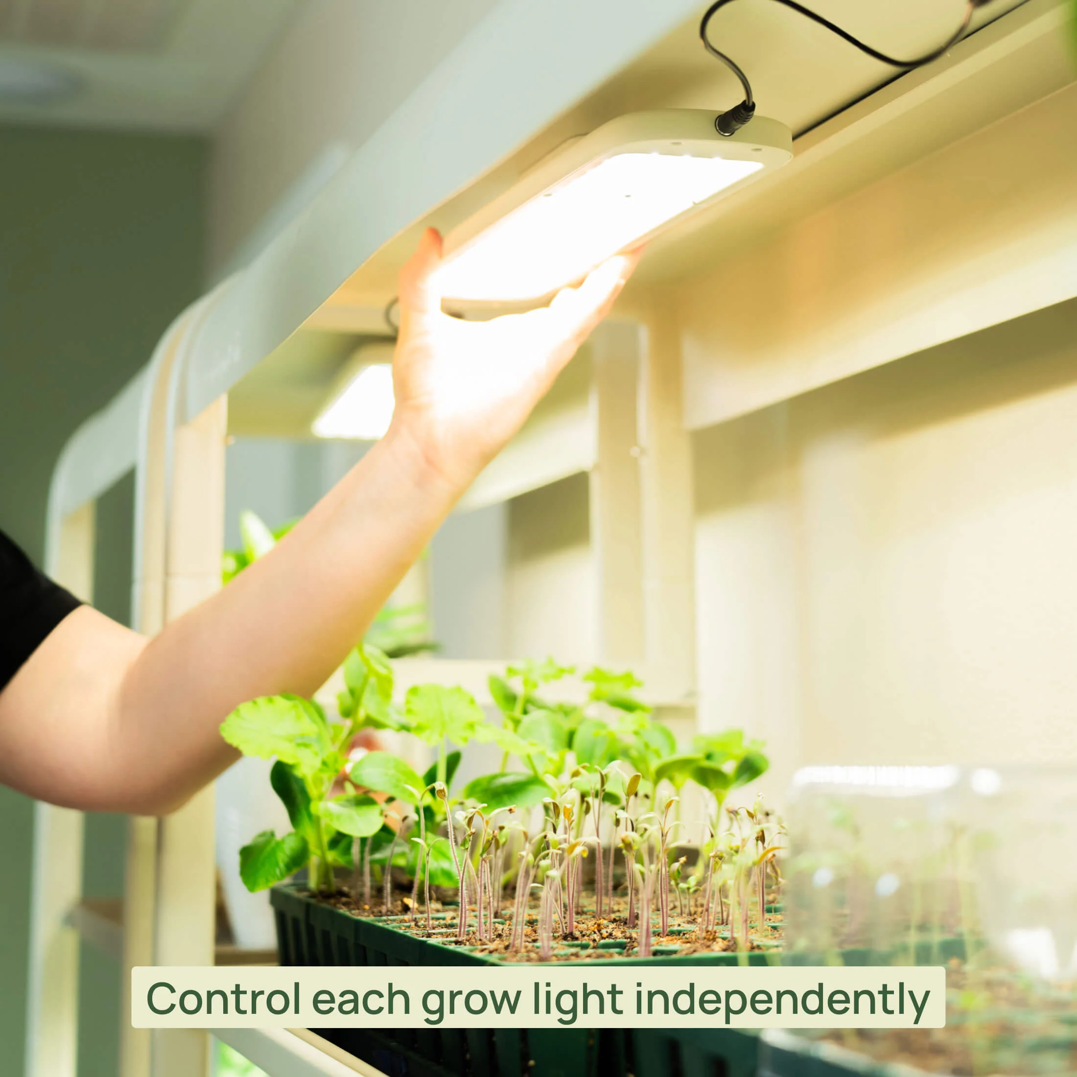 2 Tier Grow Light Garden - Image 12