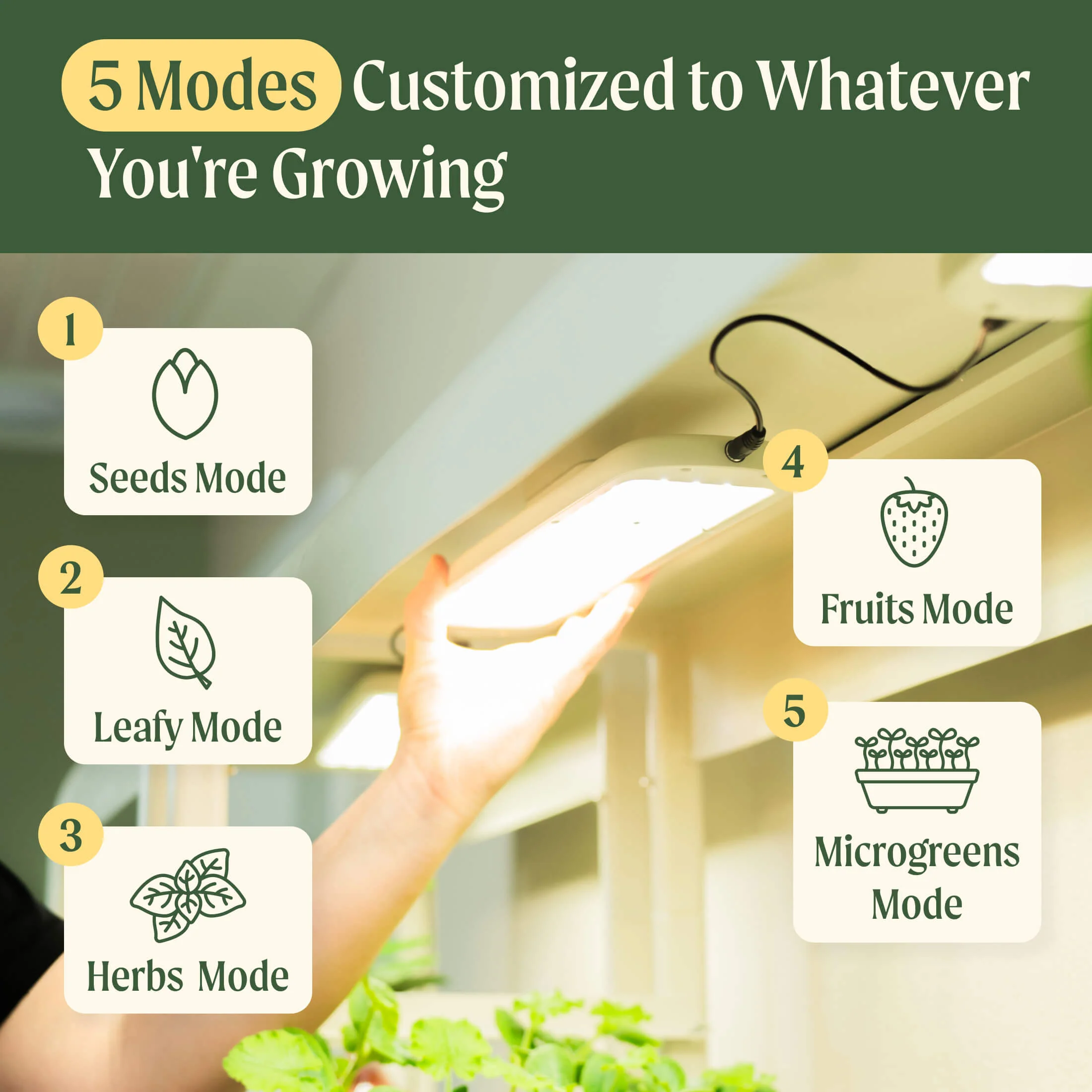 2 Tier Grow Light Garden - Image 5
