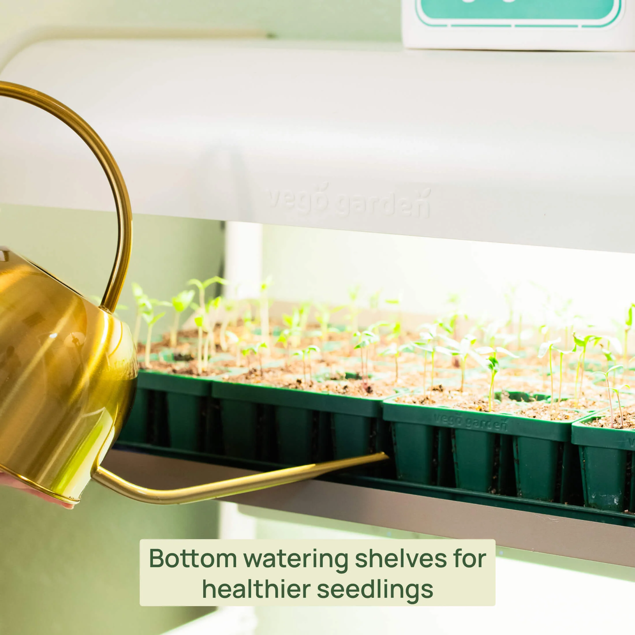 4 Tier Grow Light Garden - Image 14