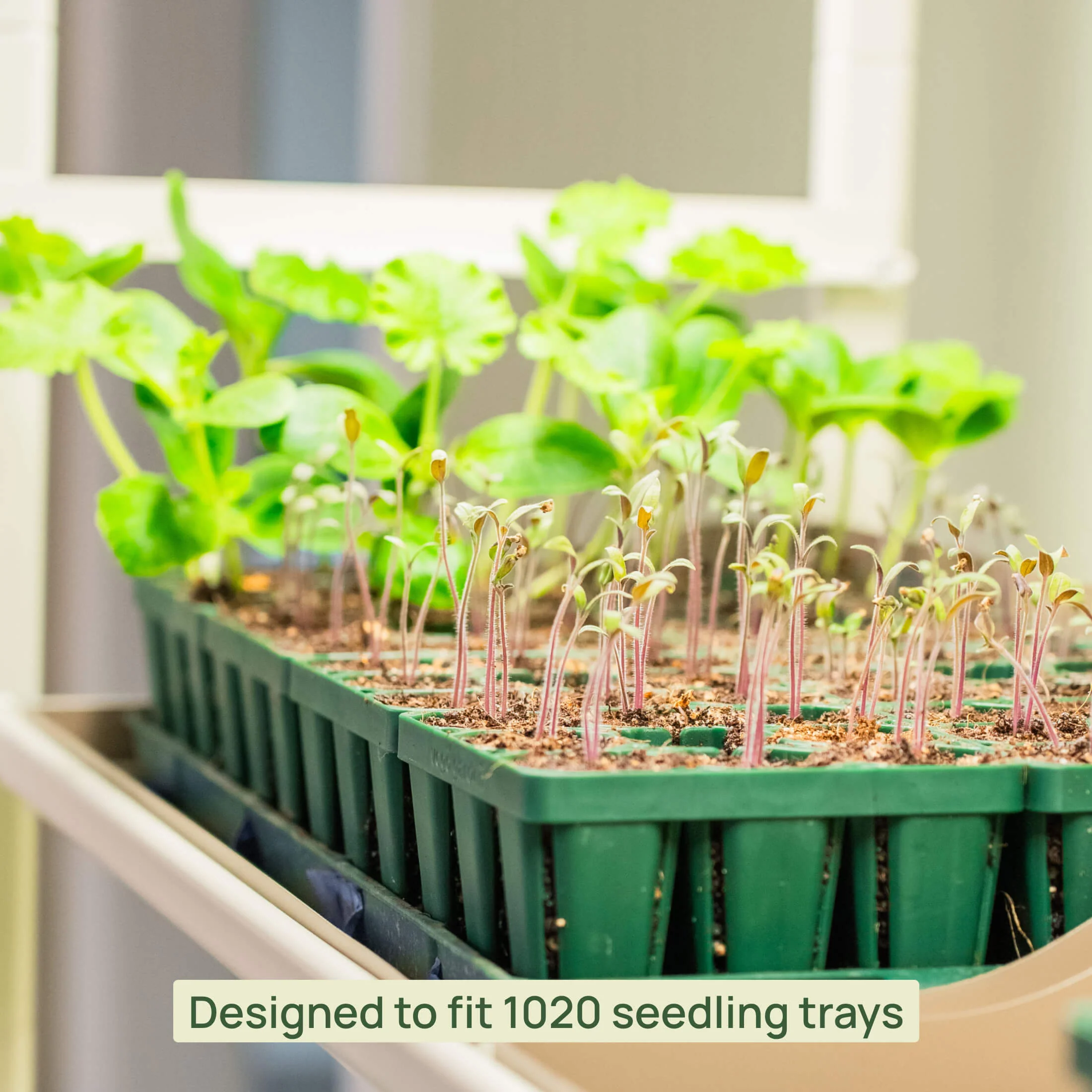 4 Tier Grow Light Garden Pro - Image 12