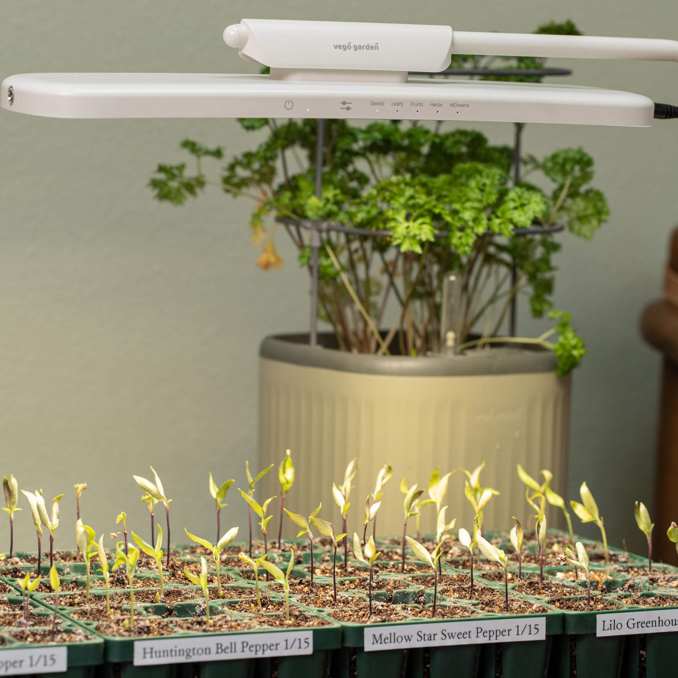 Grow Light Stand - Classic - Image 8